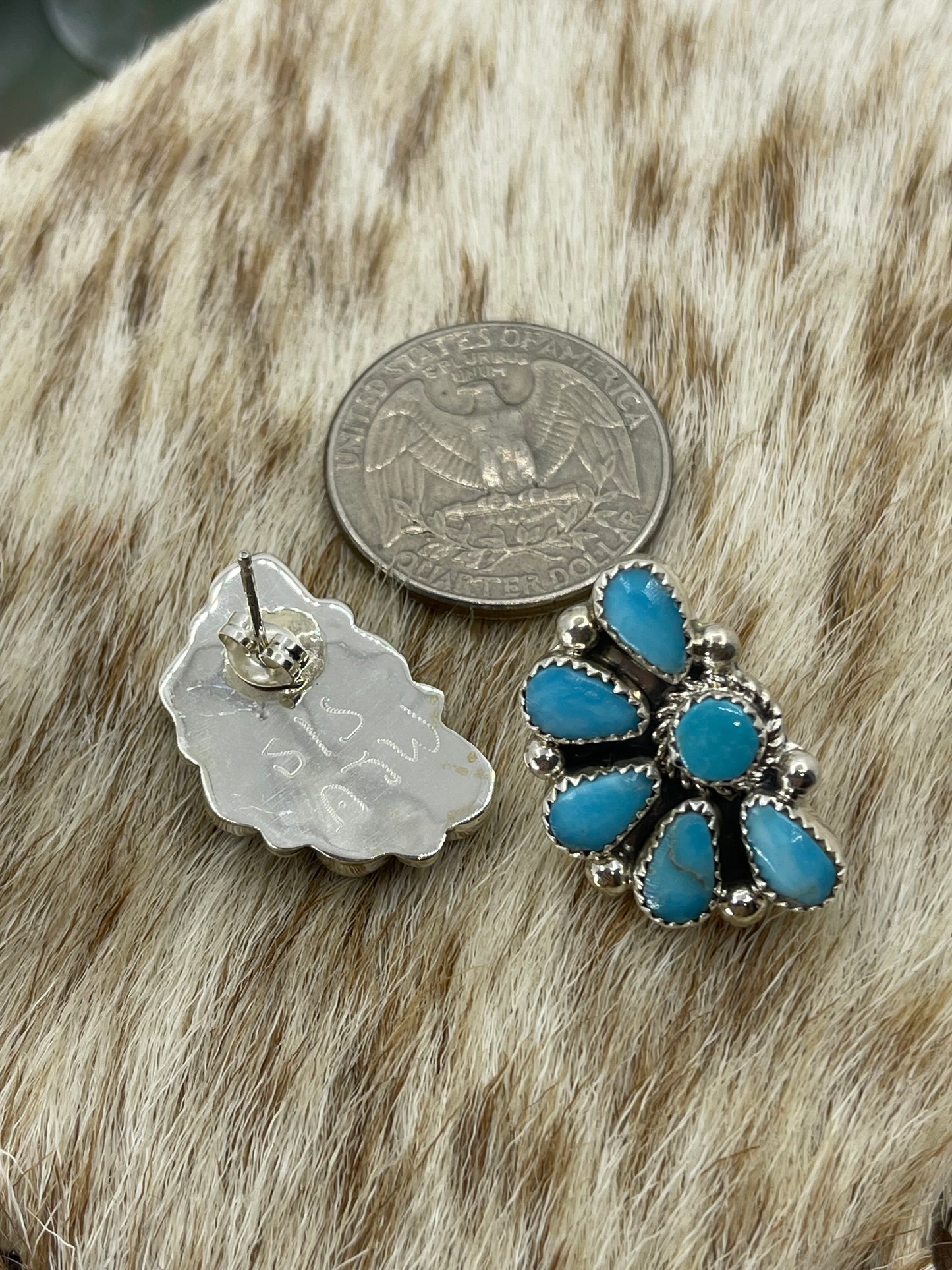 Blue Kingman Turquoise Half Cluster Earrings by Alicia Wilson, Navajo