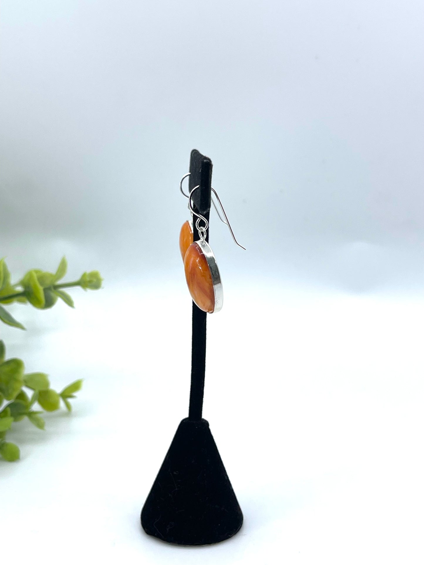 Spiny Oyster Oval Dangle Earrings