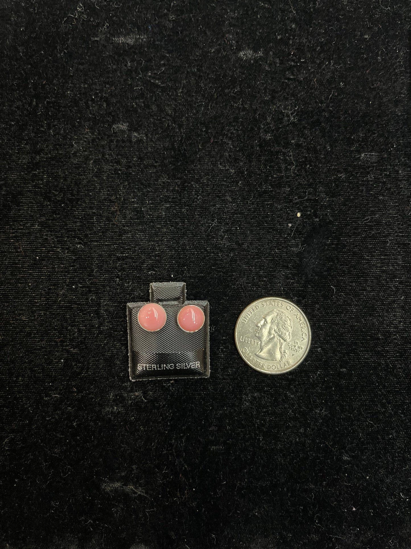 Pink Conch small post earrings