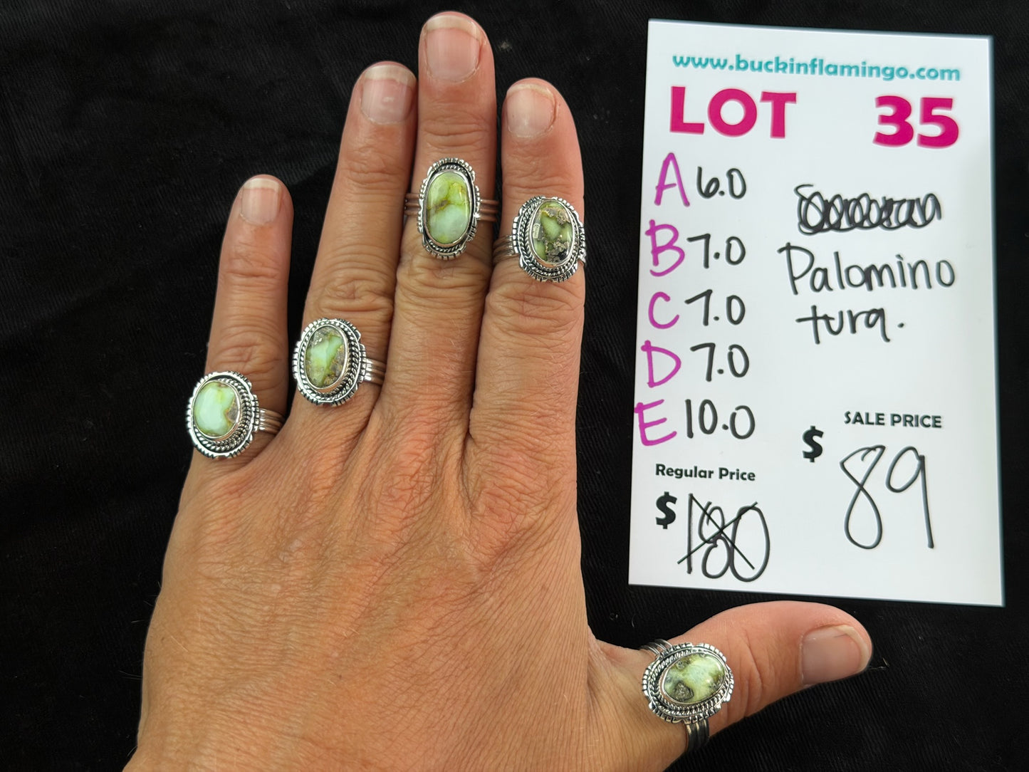 LOT 35 A 8/23 Palomino Turquoise