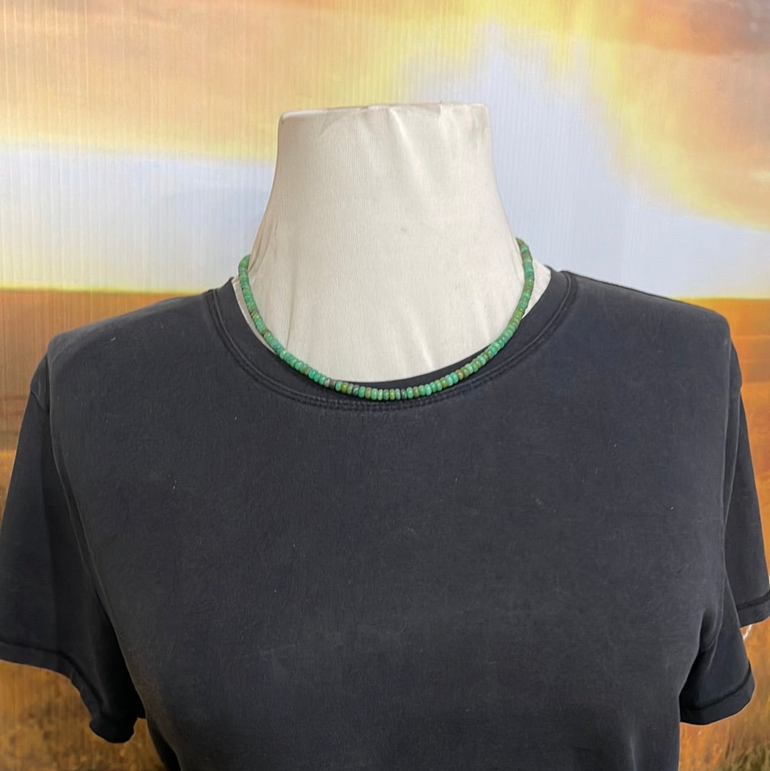 Emerald Valley Turquoise 18” Necklace