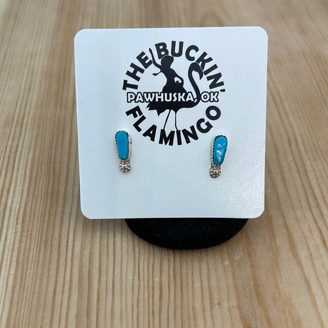 Sleeping Beauty Turquoise Post Earrings