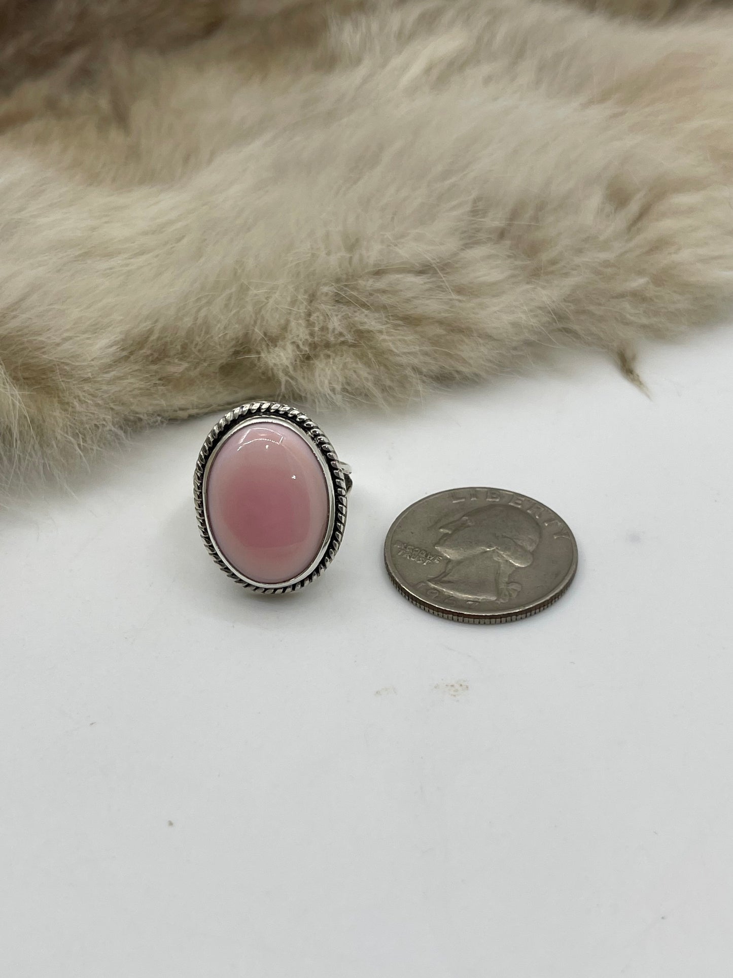 7.0 Oval Pink Conch Shell by Joelias Draper, Navajo