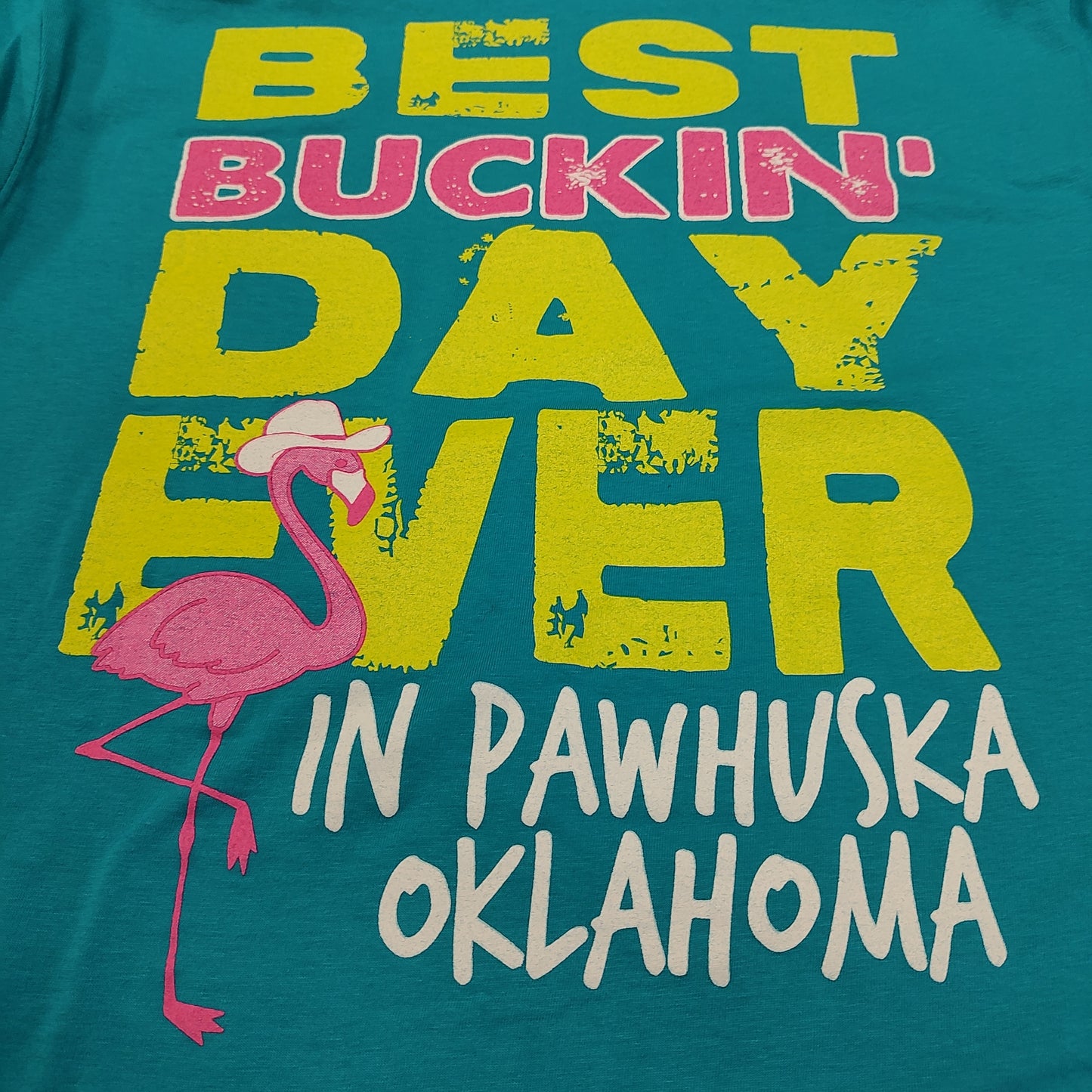 Turquoise Best Buckin' Day Ever Shirt