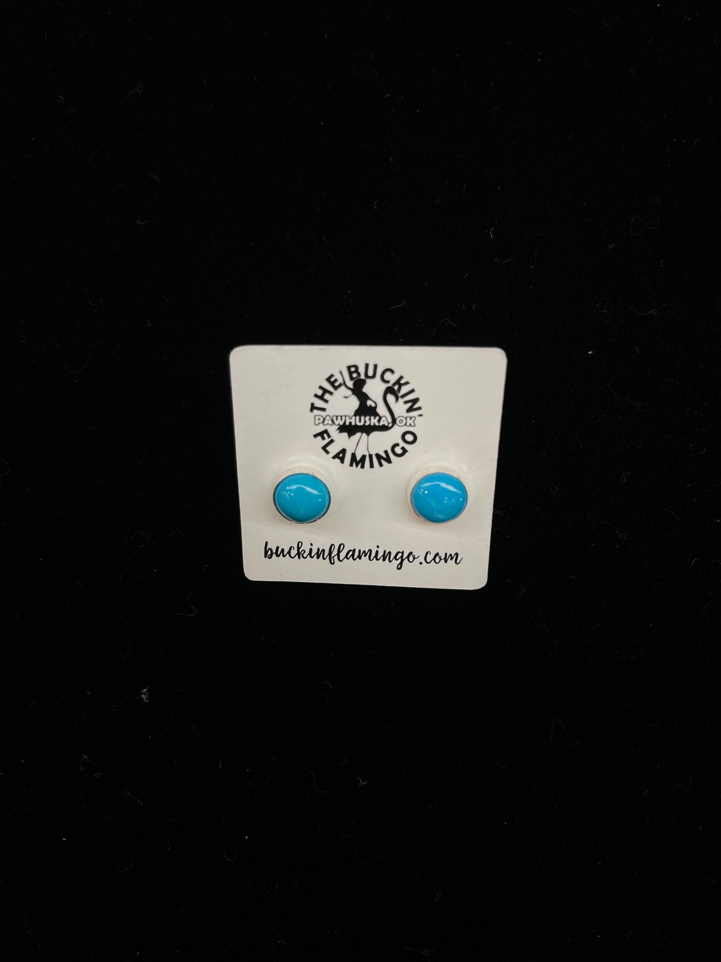 Sleeping Beauty Turquoise Circle Post Earrings