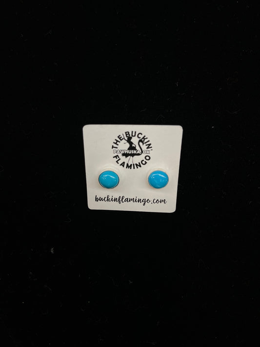 Sleeping Beauty Turquoise Circle Post Earrings