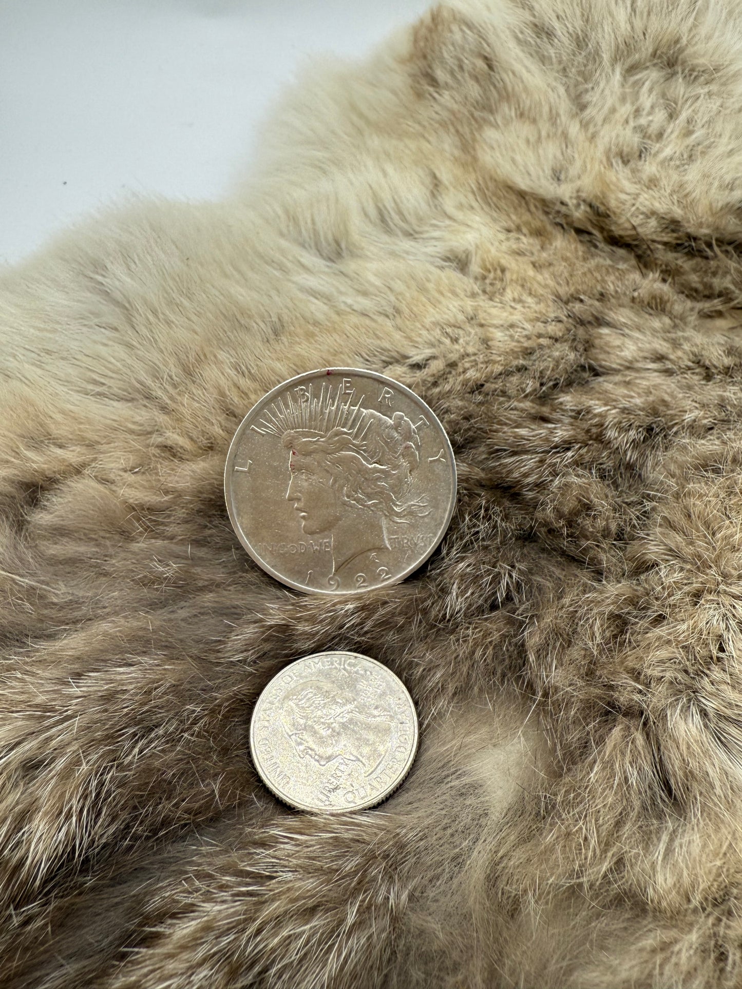 10.0 1922 Silver Dollar Ring by Lauren Garnett