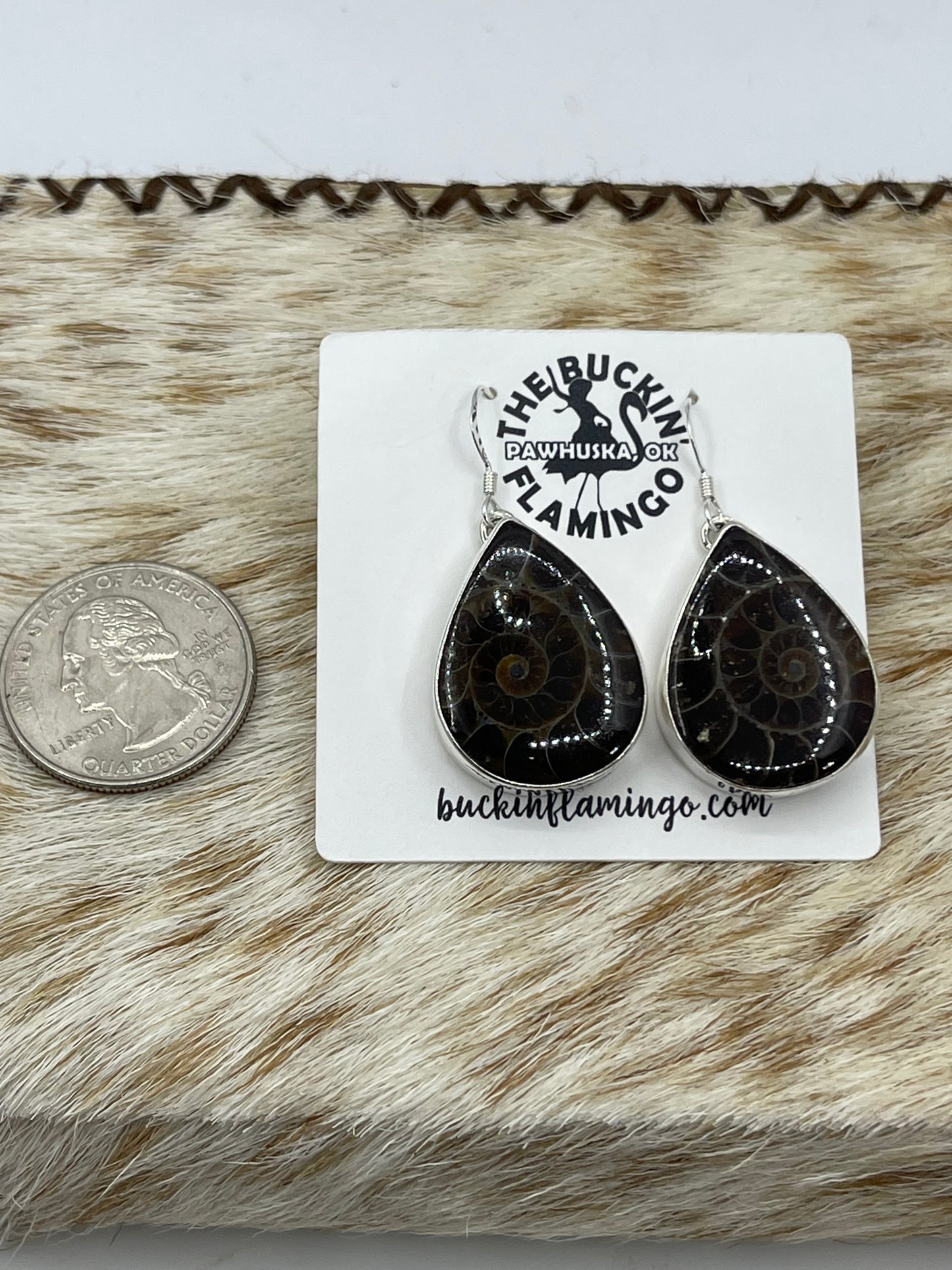 Teardrop Moroccan Ammonite Fossil Dangle Earrings by Dvane Smith, Navajo