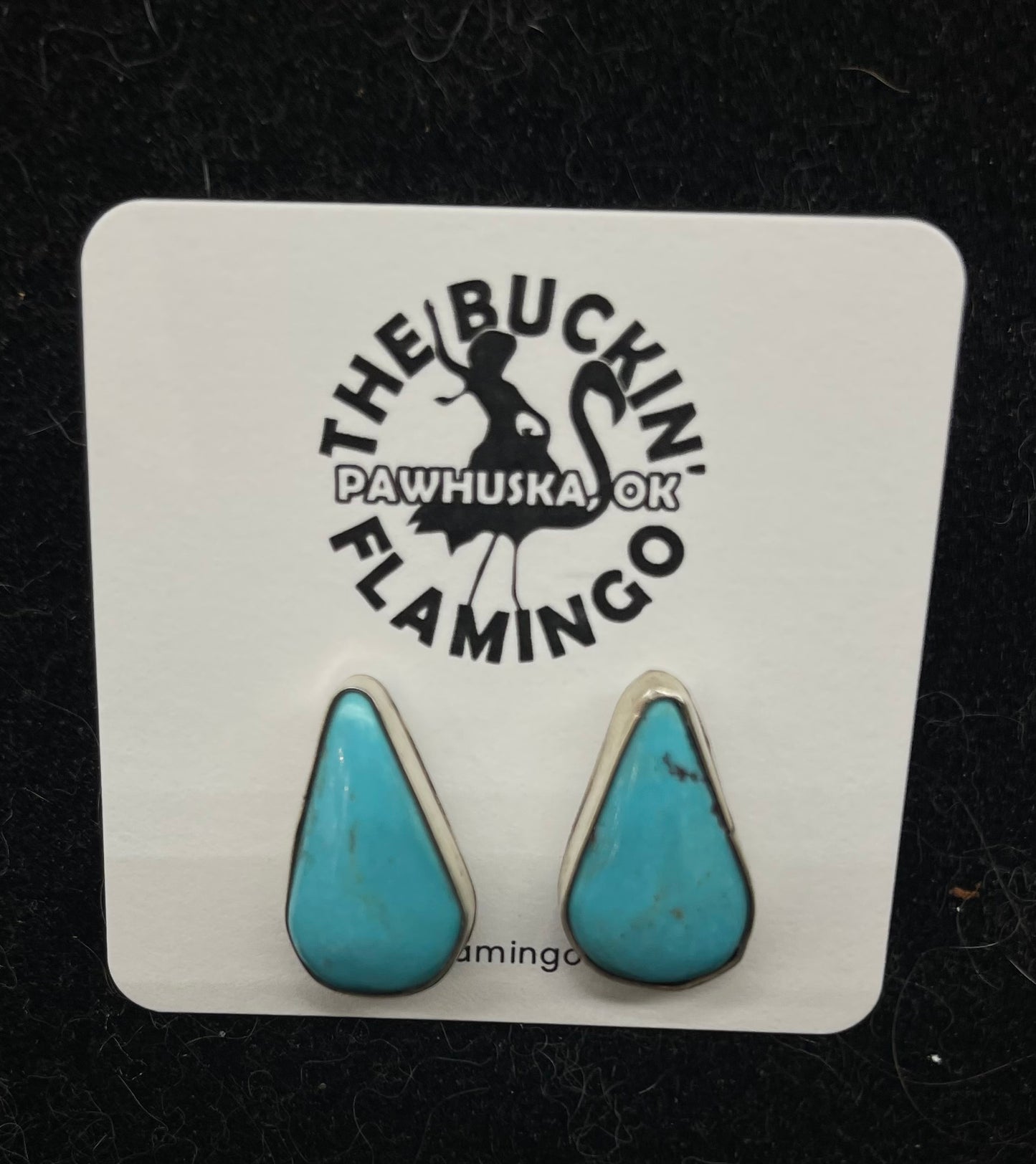 Kingman Turquoise Teardrop Post Earrings by Clifton Davis, Navajo