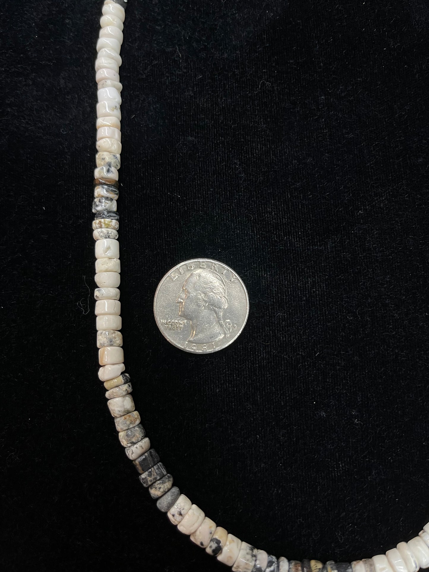 19" White Buffalo Necklace