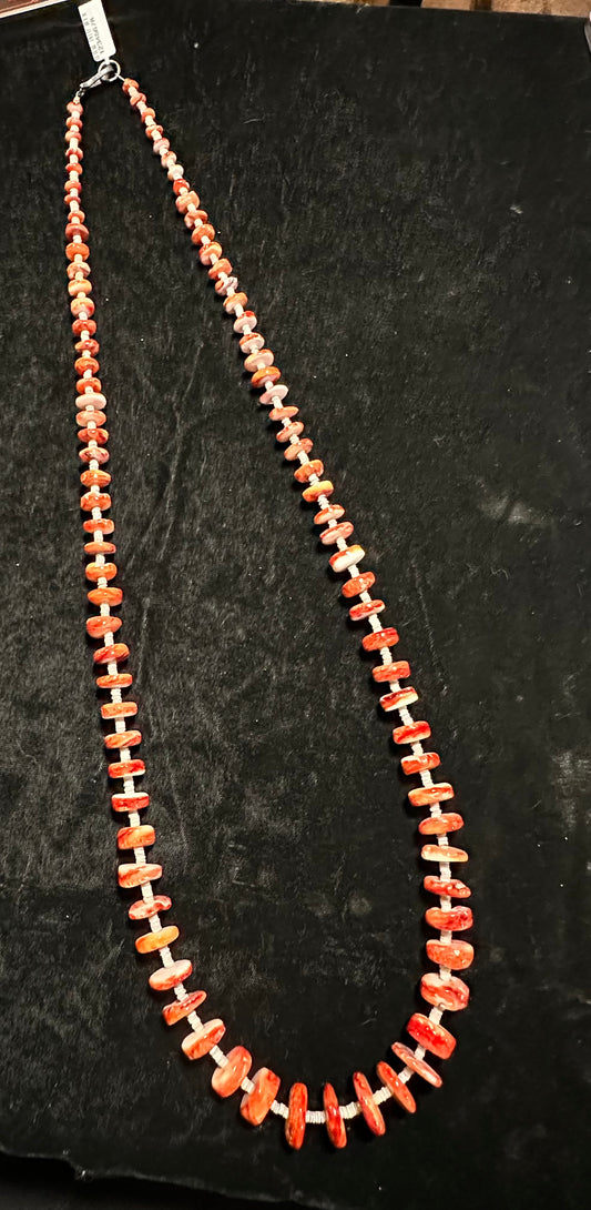 38” Spiny Oyster and Melon Shell Necklace