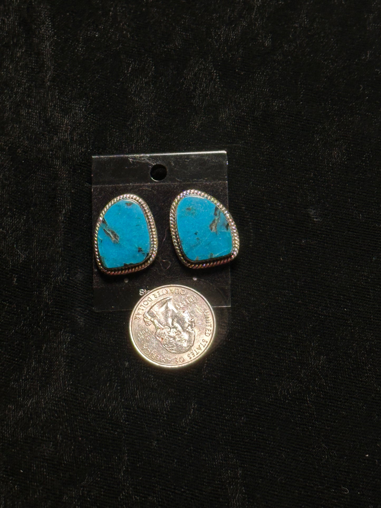 Kingman Turquoise Earrings By Gilbert Nez, Navajo