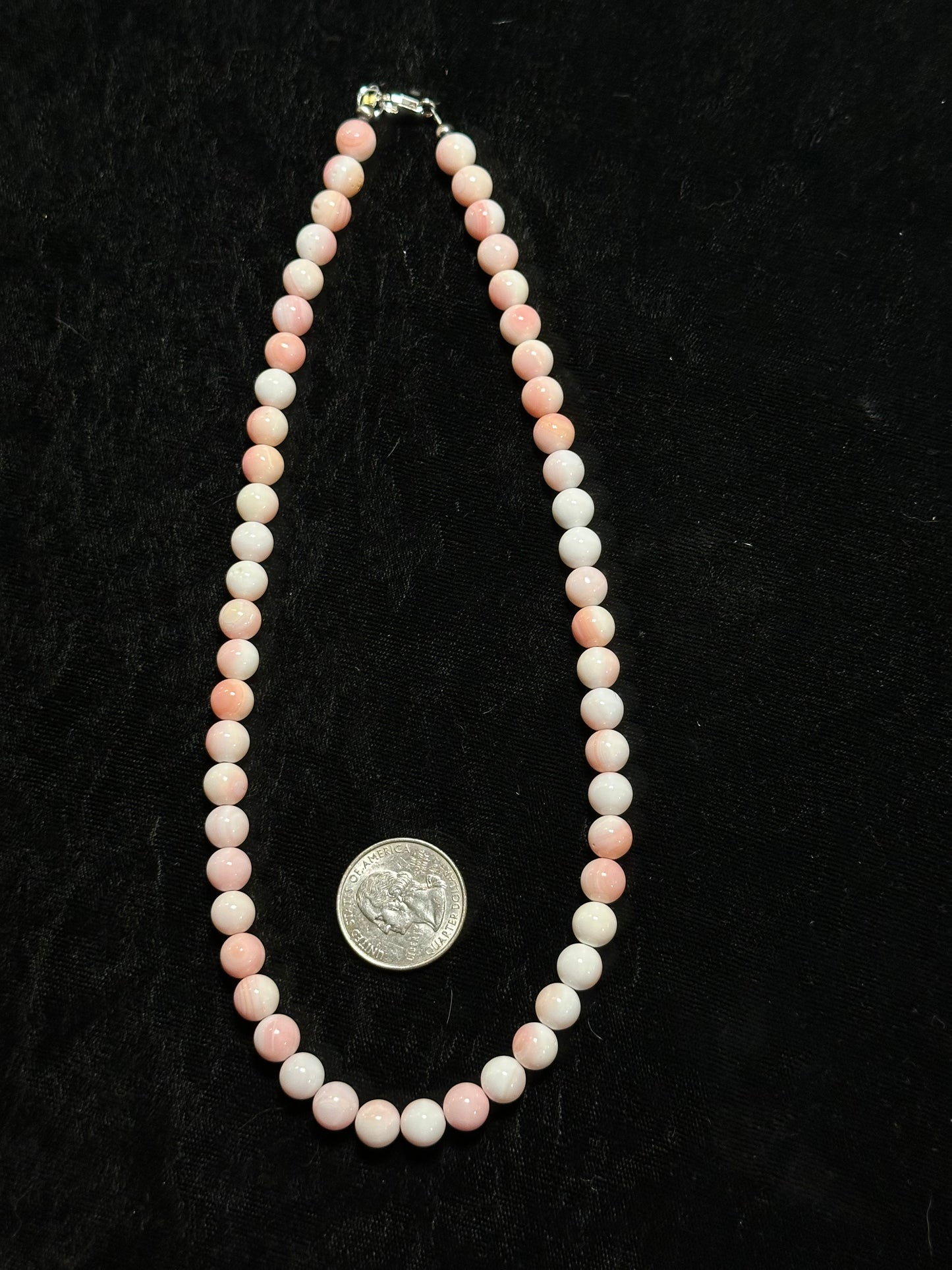 18" 8mm Pink Conch Shell Necklace