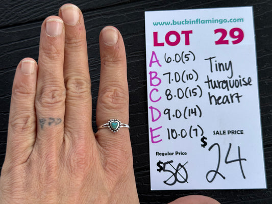 LOT 29 C (8.0) 11/23