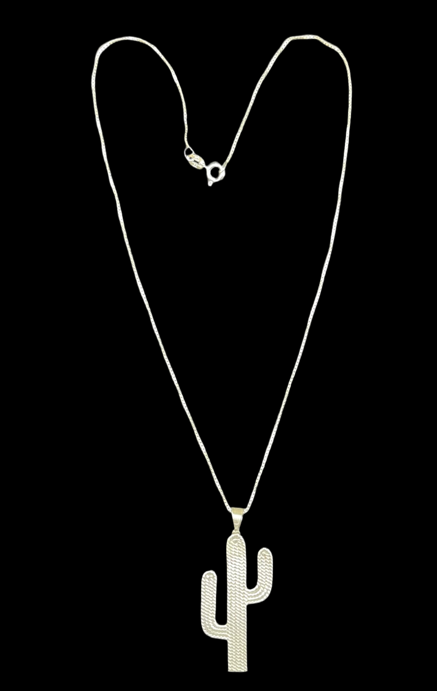 Sterling Silver Cactus on a 14" Box Chain by Louise Joe, Navajo