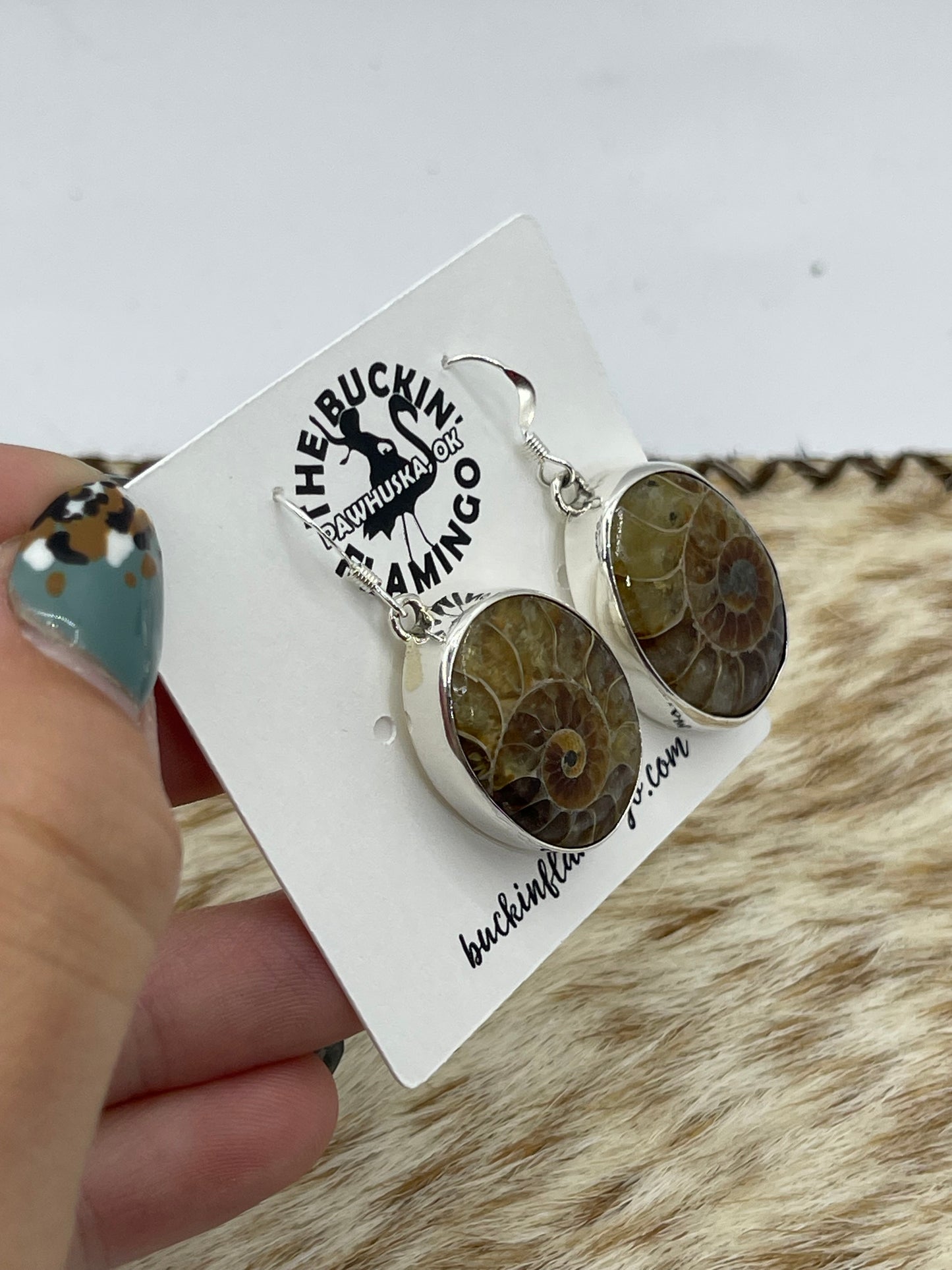Oval Moroccan Ammonite Fossil Dangle Earrings by Dvane Smith, Navajo
