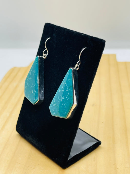 Red Skin Turquoise Dangle earrings by Steve Francisco, Navajo
