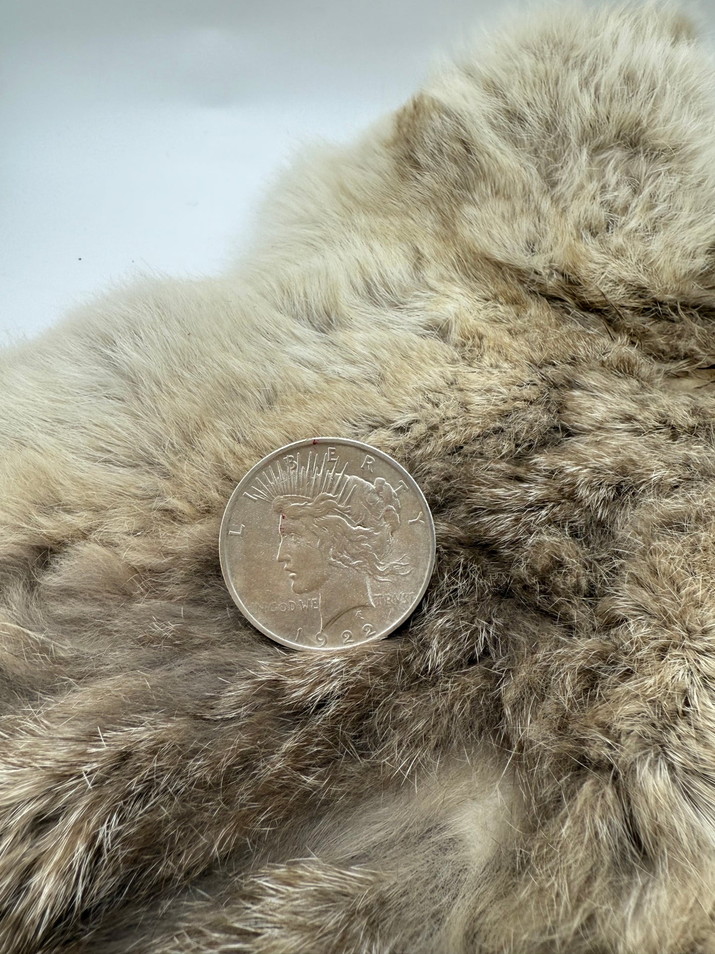10.0 1922 Silver Dollar Ring by Lauren Garnett