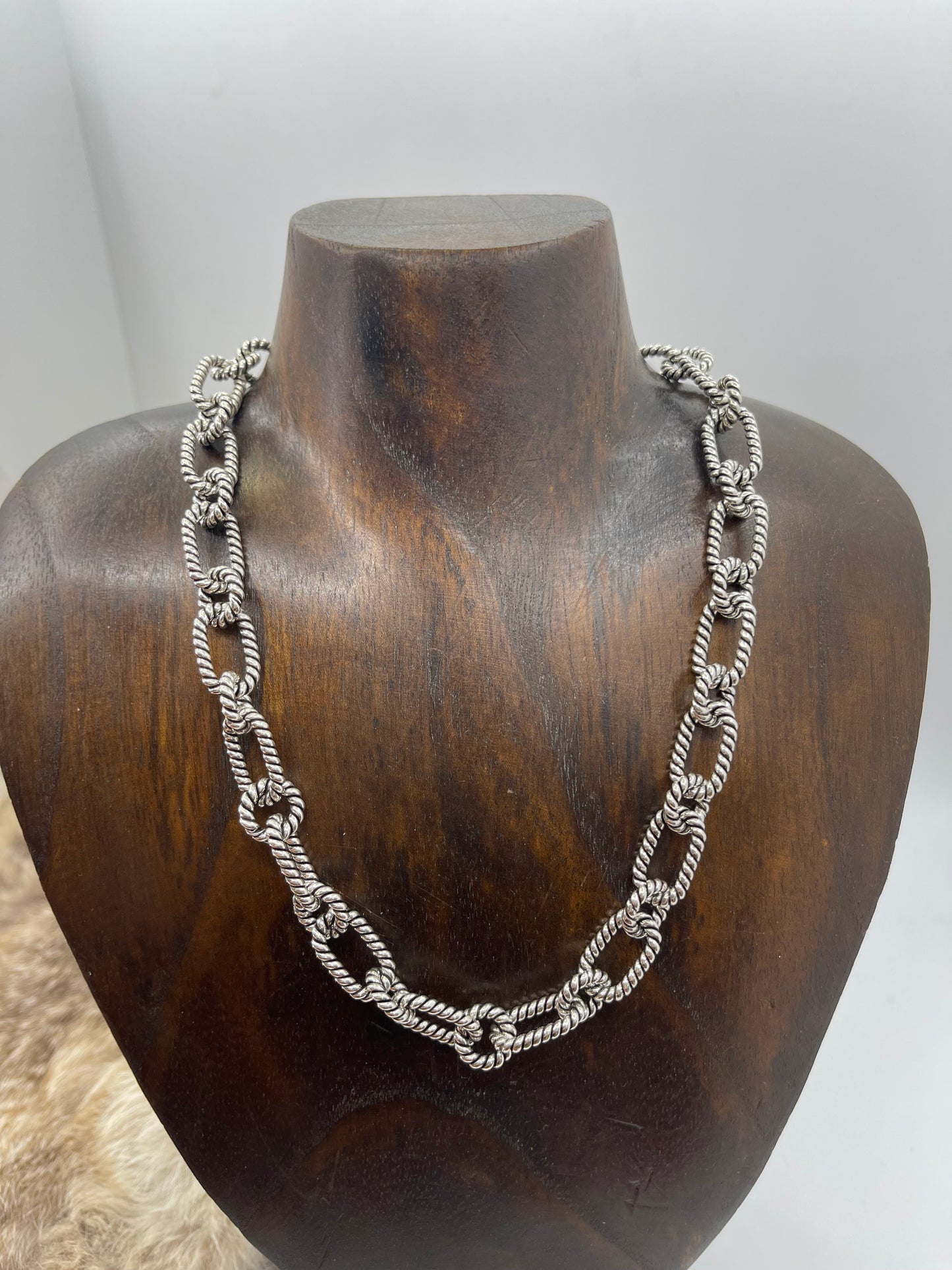 17" Heavy Chain with Twisted Wire