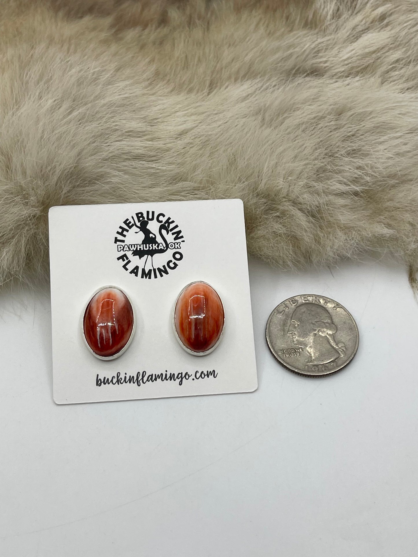 Red-ish Spiny Oyster Shell Oval Post Earrings @ Top