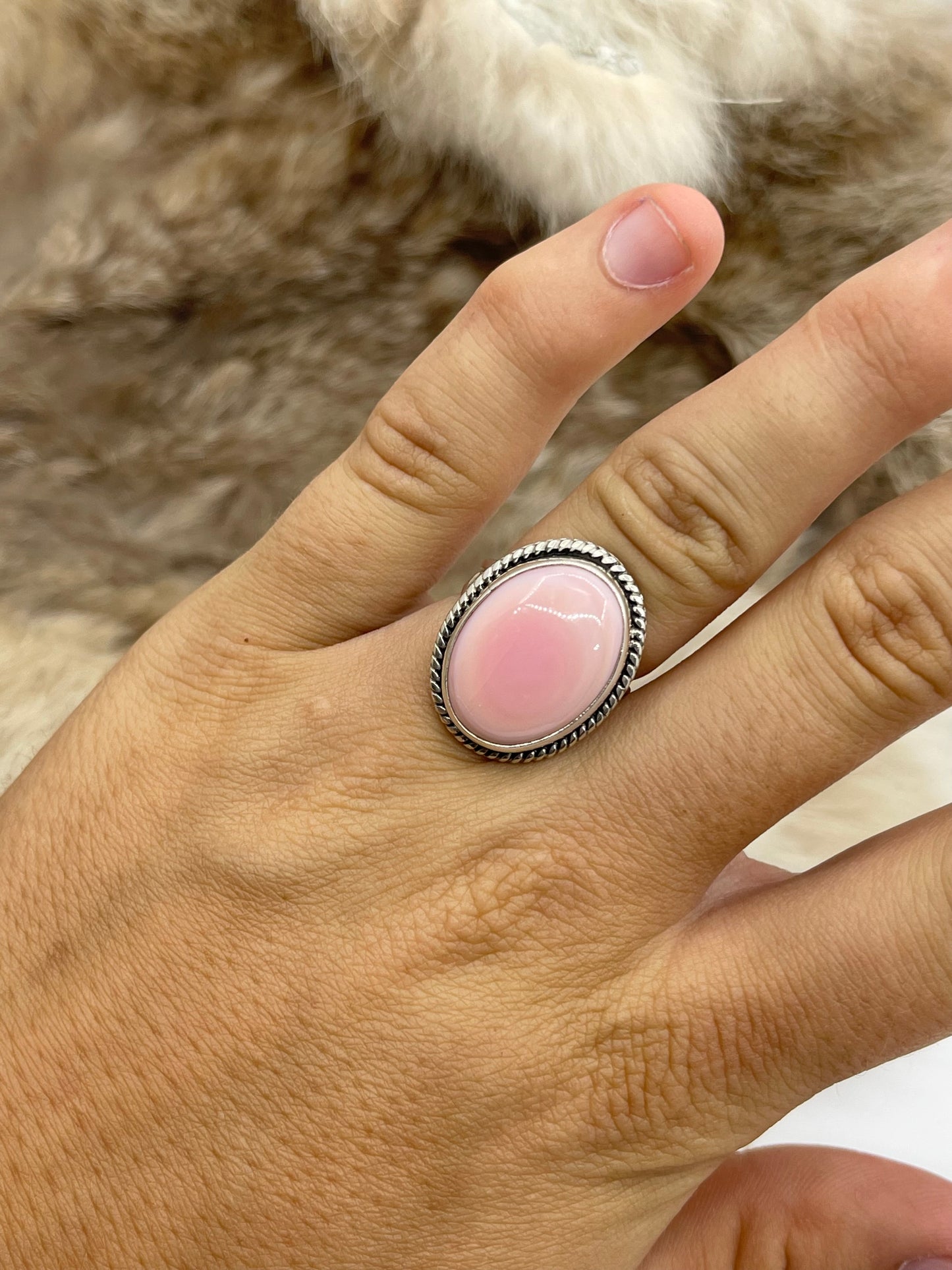 7.0 Oval Pink Conch Shell by Joelias Draper, Navajo