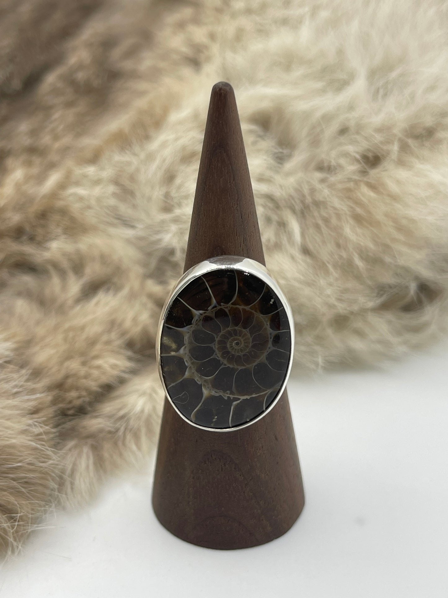 7.0 Ammonite Fossil Ring by Lawrence Willie, Navajo
