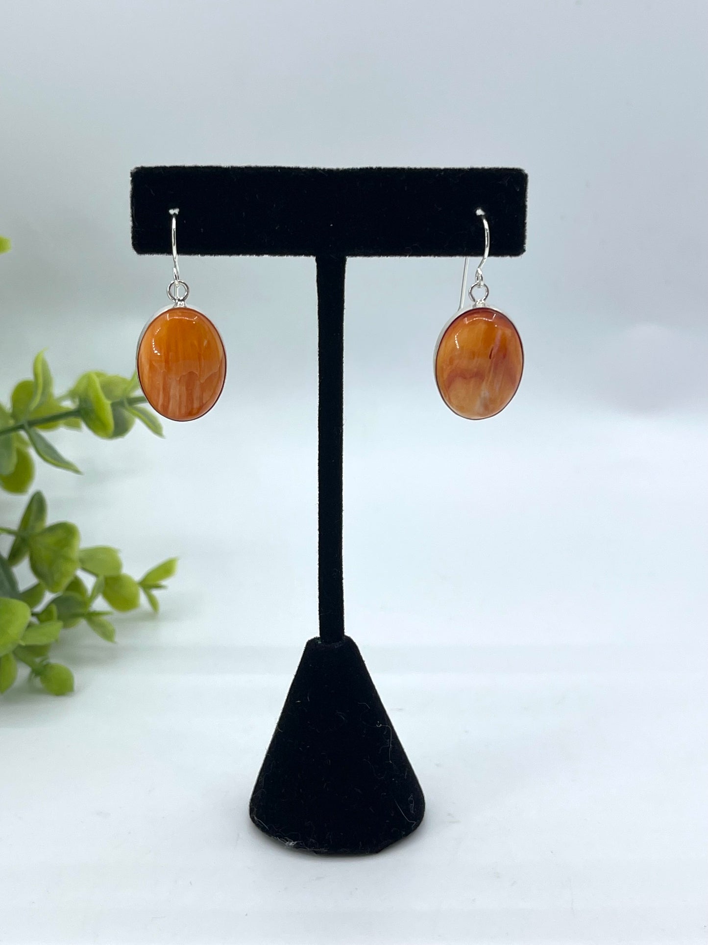 Spiny Oyster Oval Dangle Earrings