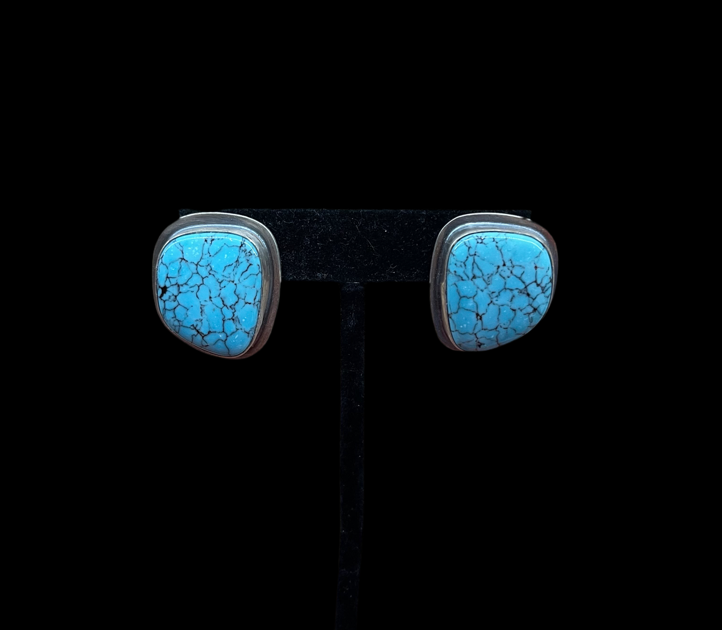 Egyptian Turquoise Post Earrings by Zia