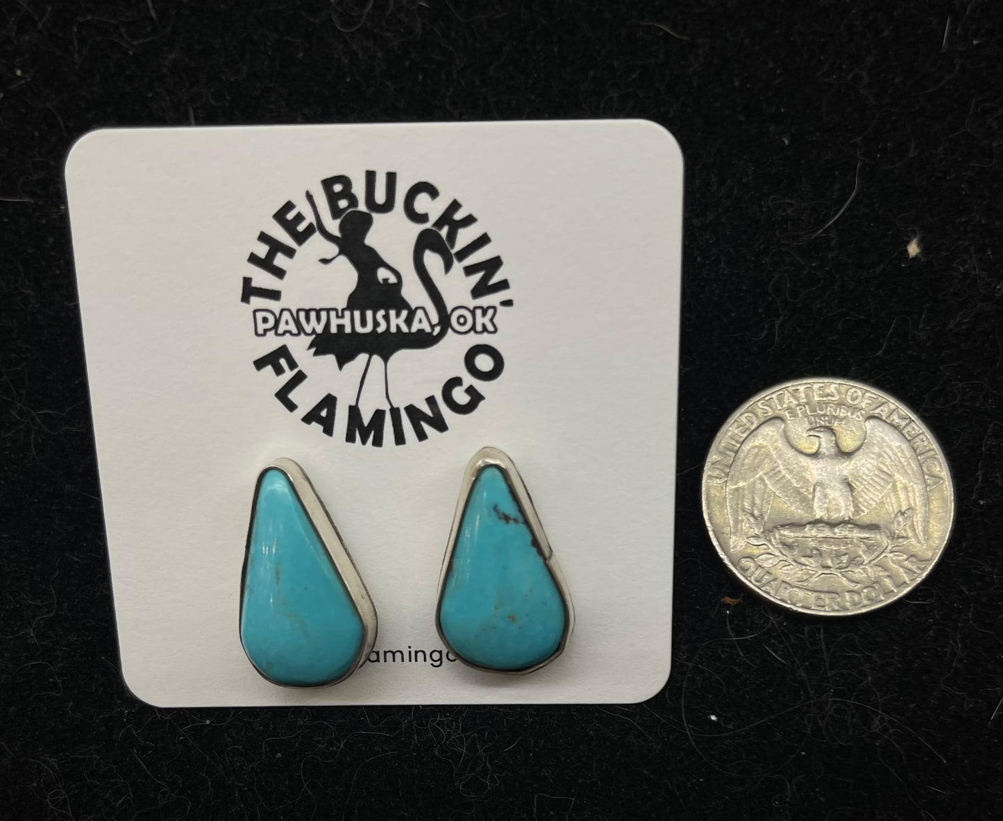 Kingman Turquoise Teardrop Post Earrings by Clifton Davis, Navajo