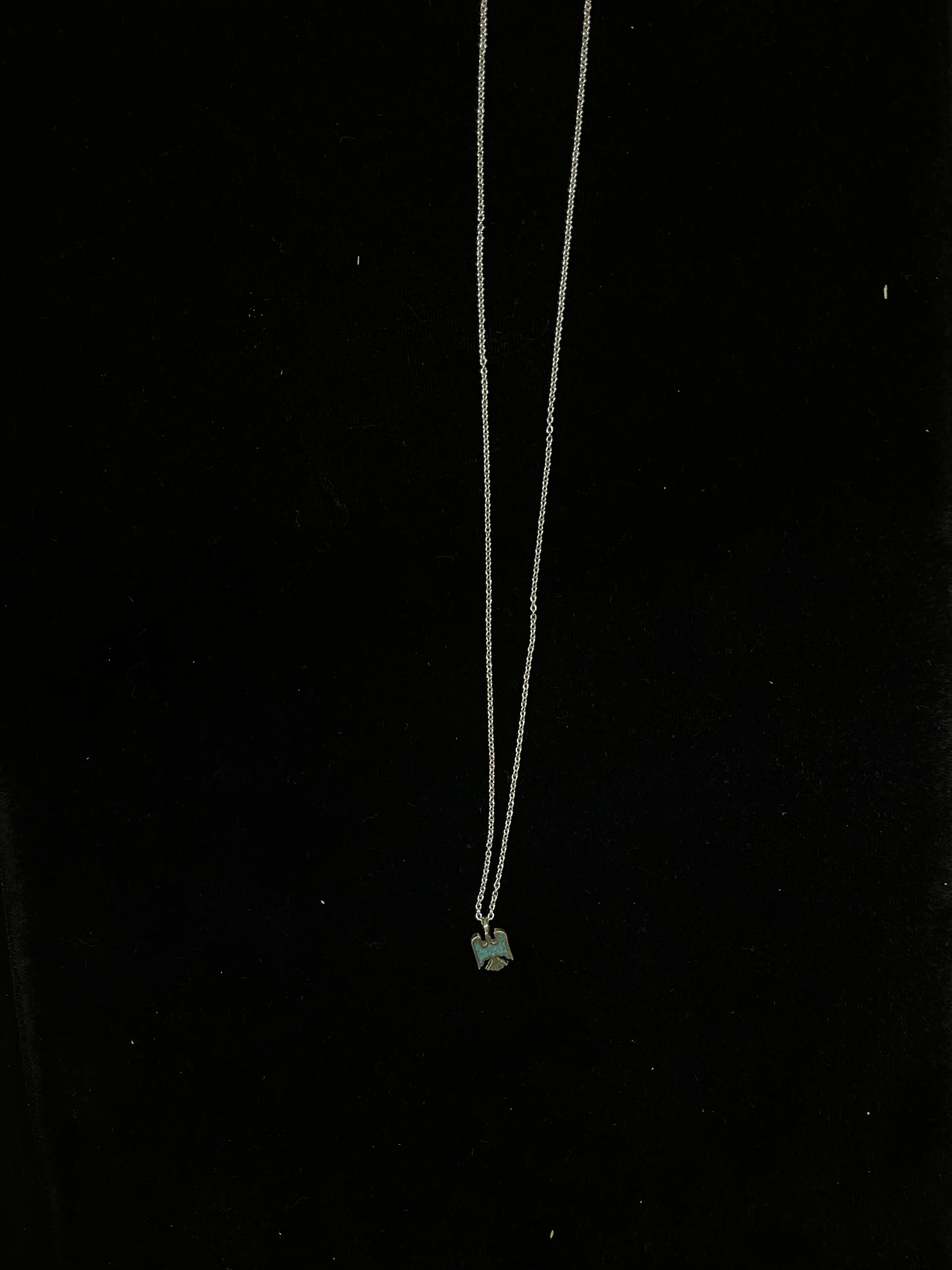 16" Dainty Turquoise Thunderbird Necklace