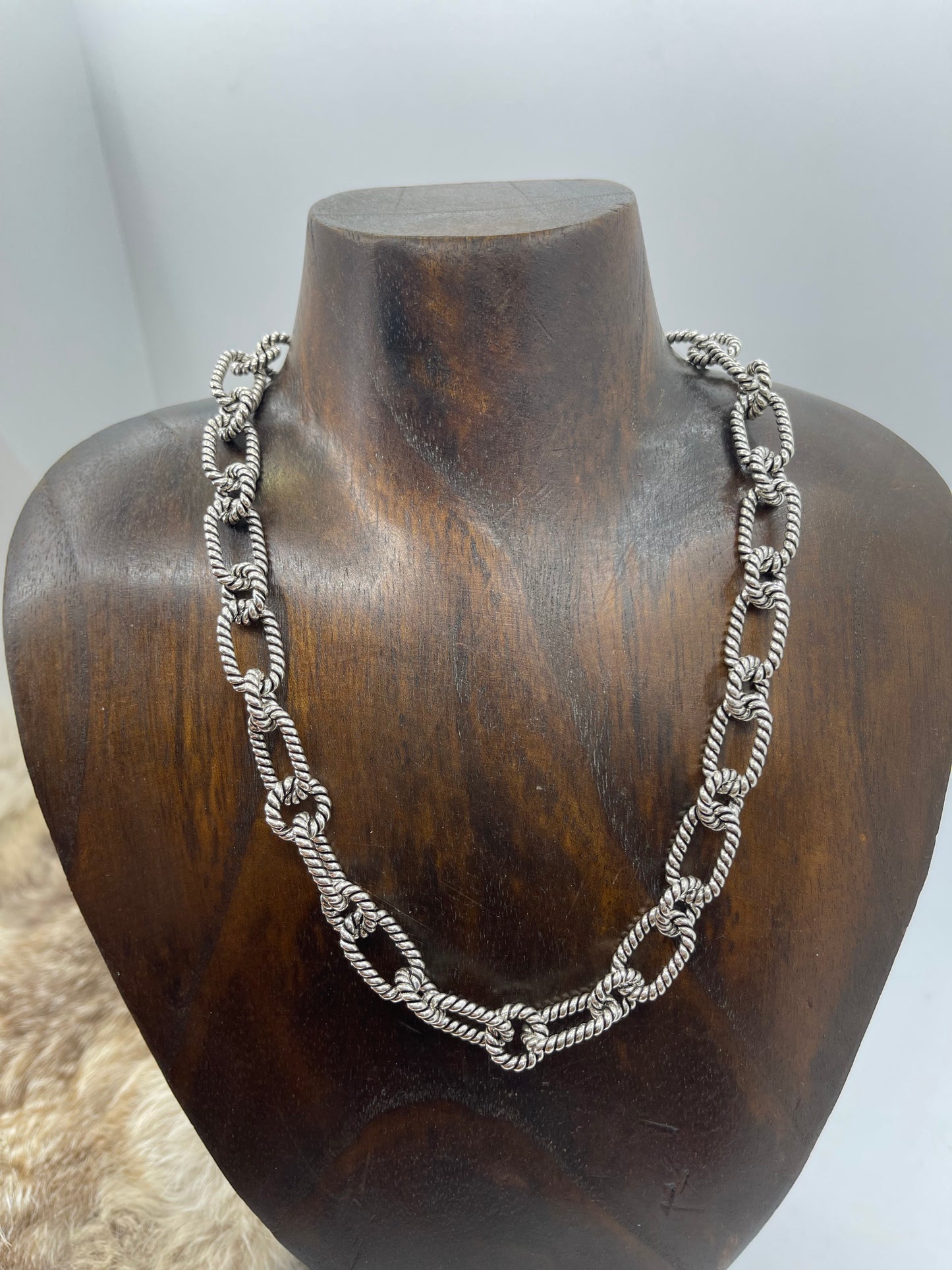 17" Heavy Chain with Twisted Wire