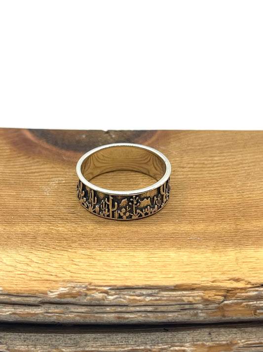 10.0 Desert Scene Storyteller Band