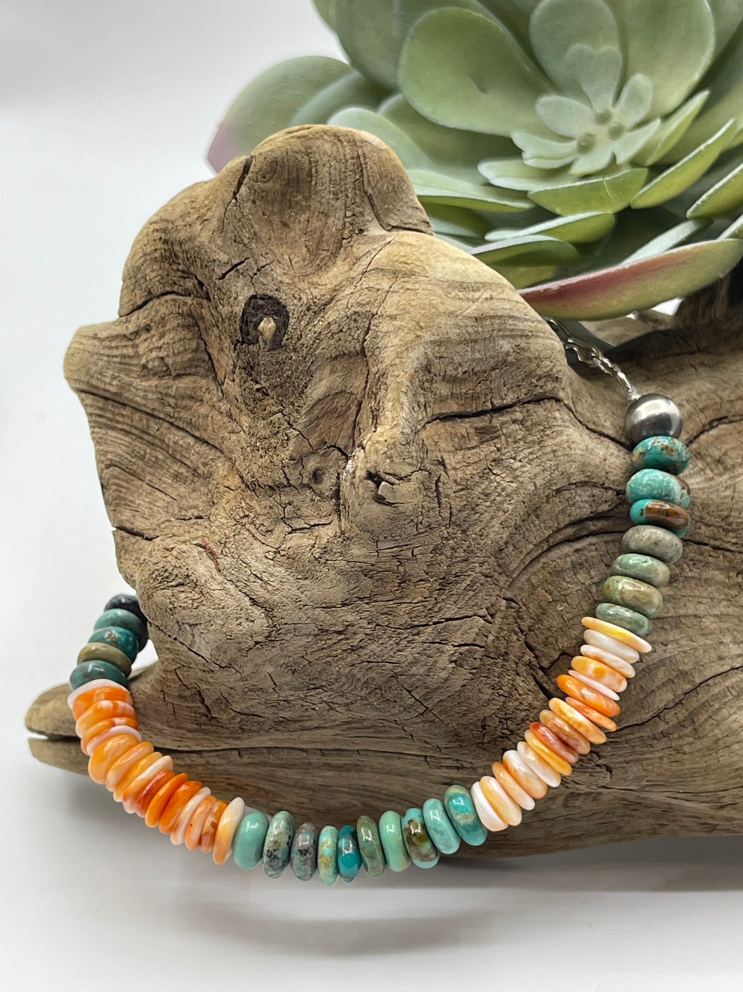 7 1/2" Turquoise and Orange Spiny Oyster Shell Bracelet