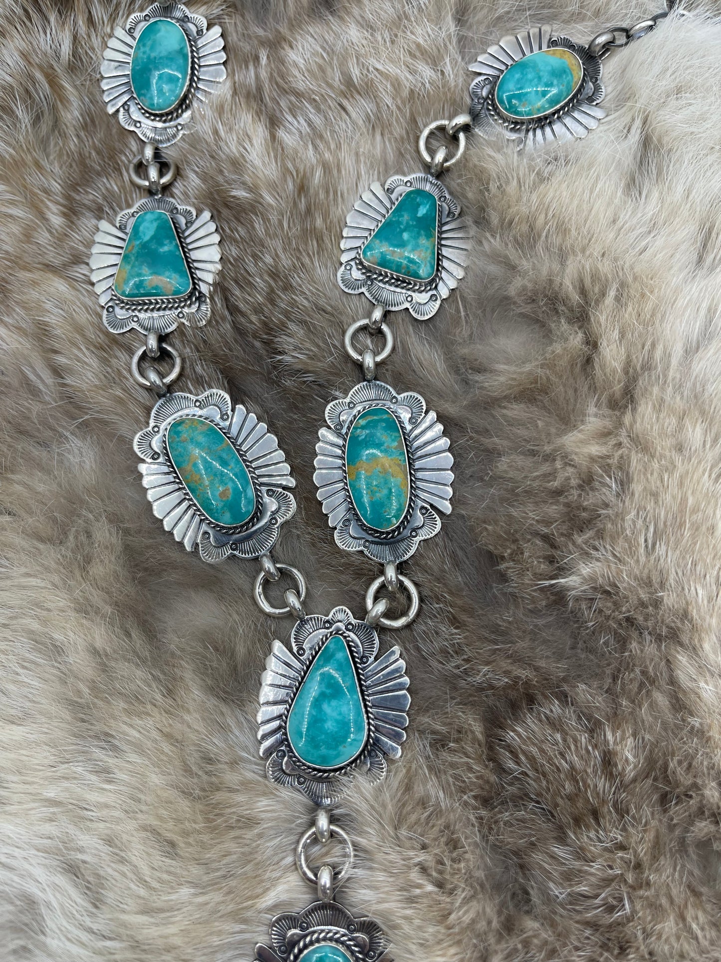 Royston Turquoise Lariat Necklace & Earring Set by Delayne Reeves, Navajo