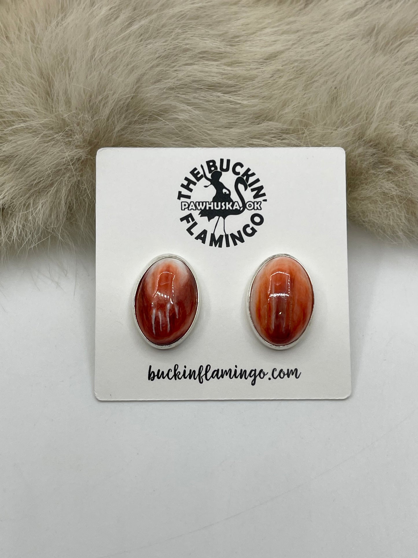 Red-ish Spiny Oyster Shell Oval Post Earrings @ Top