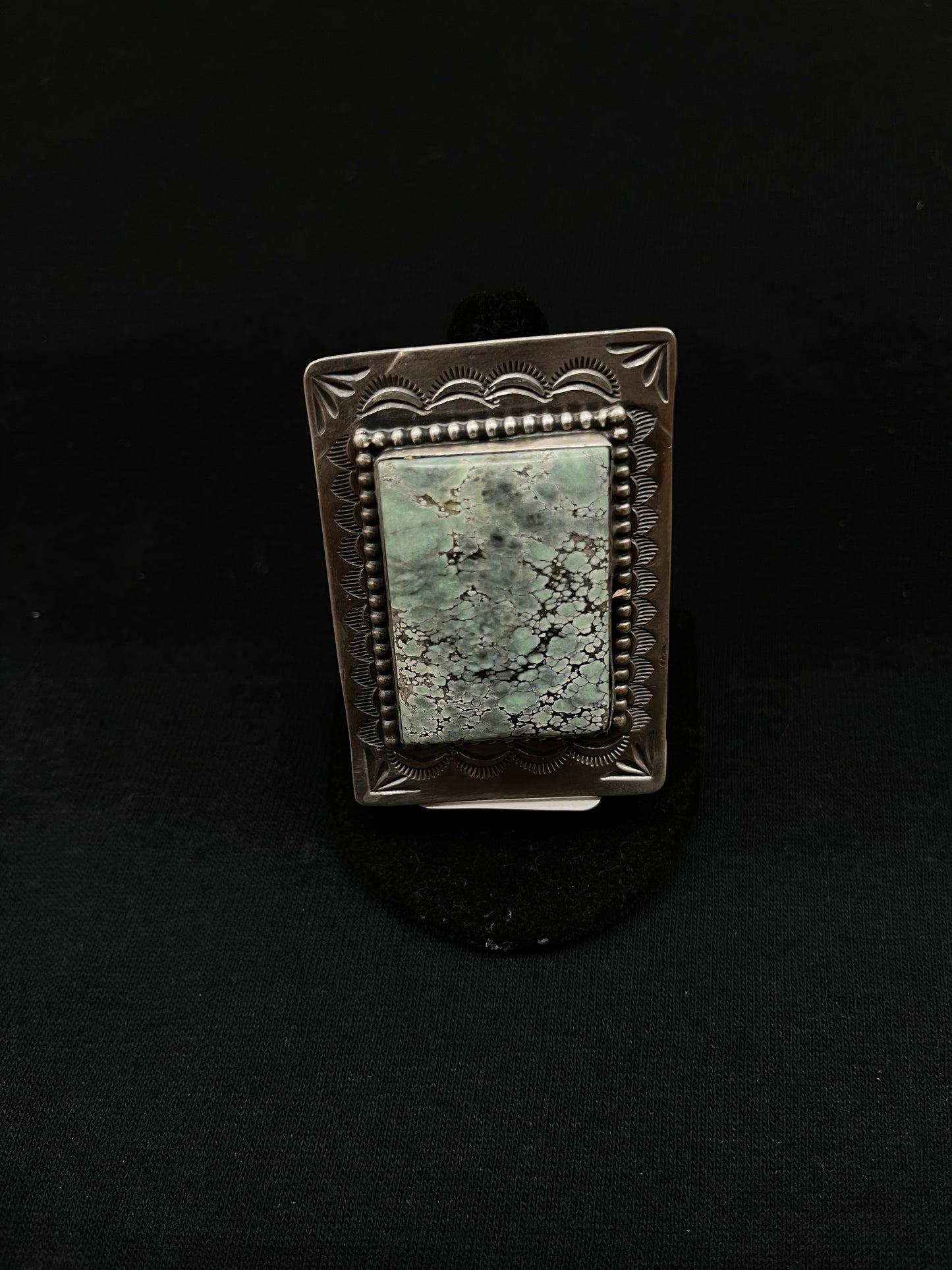 Adjustable Tree Frog Turquoise Rectangle Ring by Delbert Secatero, Navajo