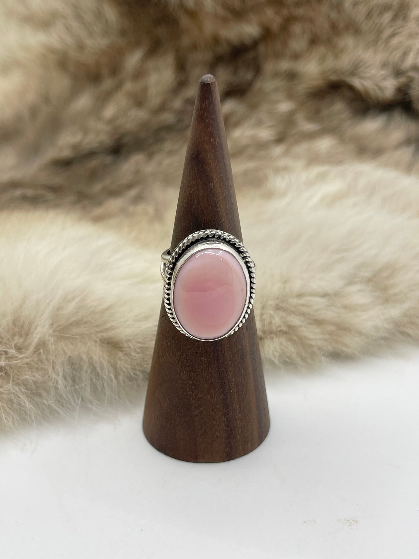 7.0 Oval Pink Conch Shell by Joelias Draper, Navajo
