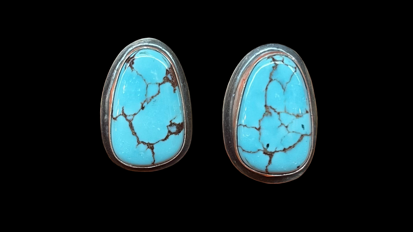 Egyptian Turquoise Post Earrings