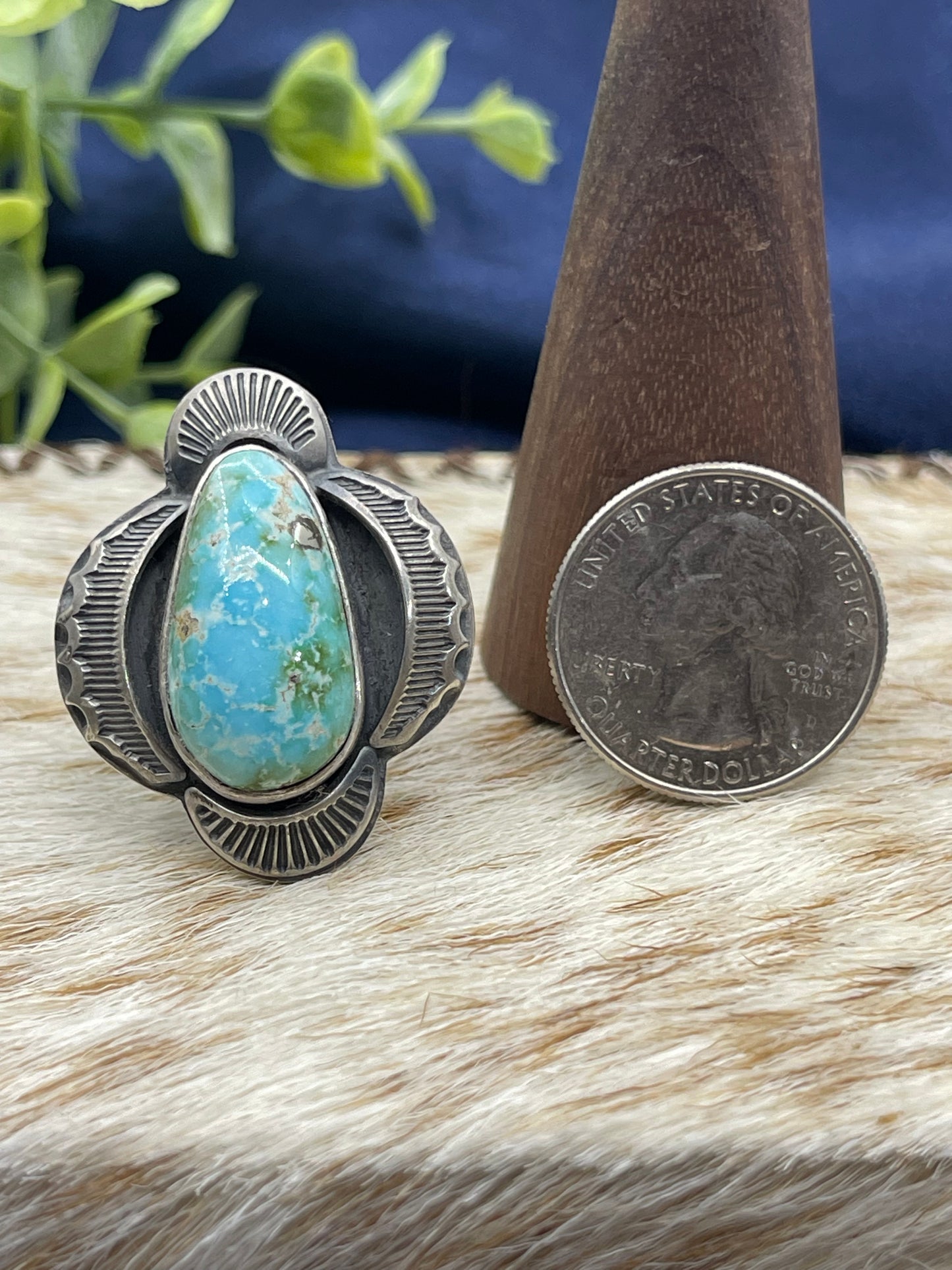 8.0 Sonoran Gold Turquoise Ring
