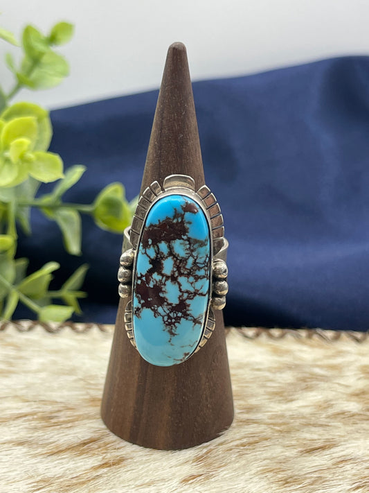 Adjustable Oval Turquoise Ring By Steven Nez, Navajo