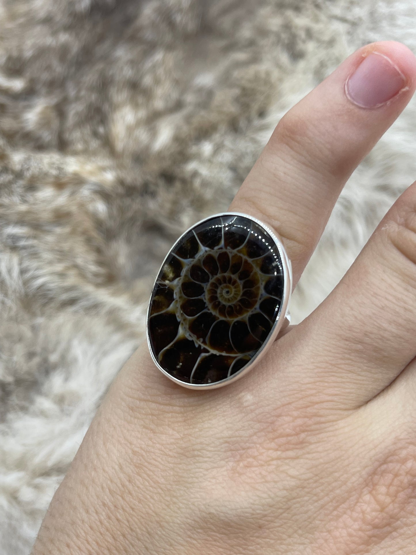 7.0 Ammonite Fossil Ring by Lawrence Willie, Navajo