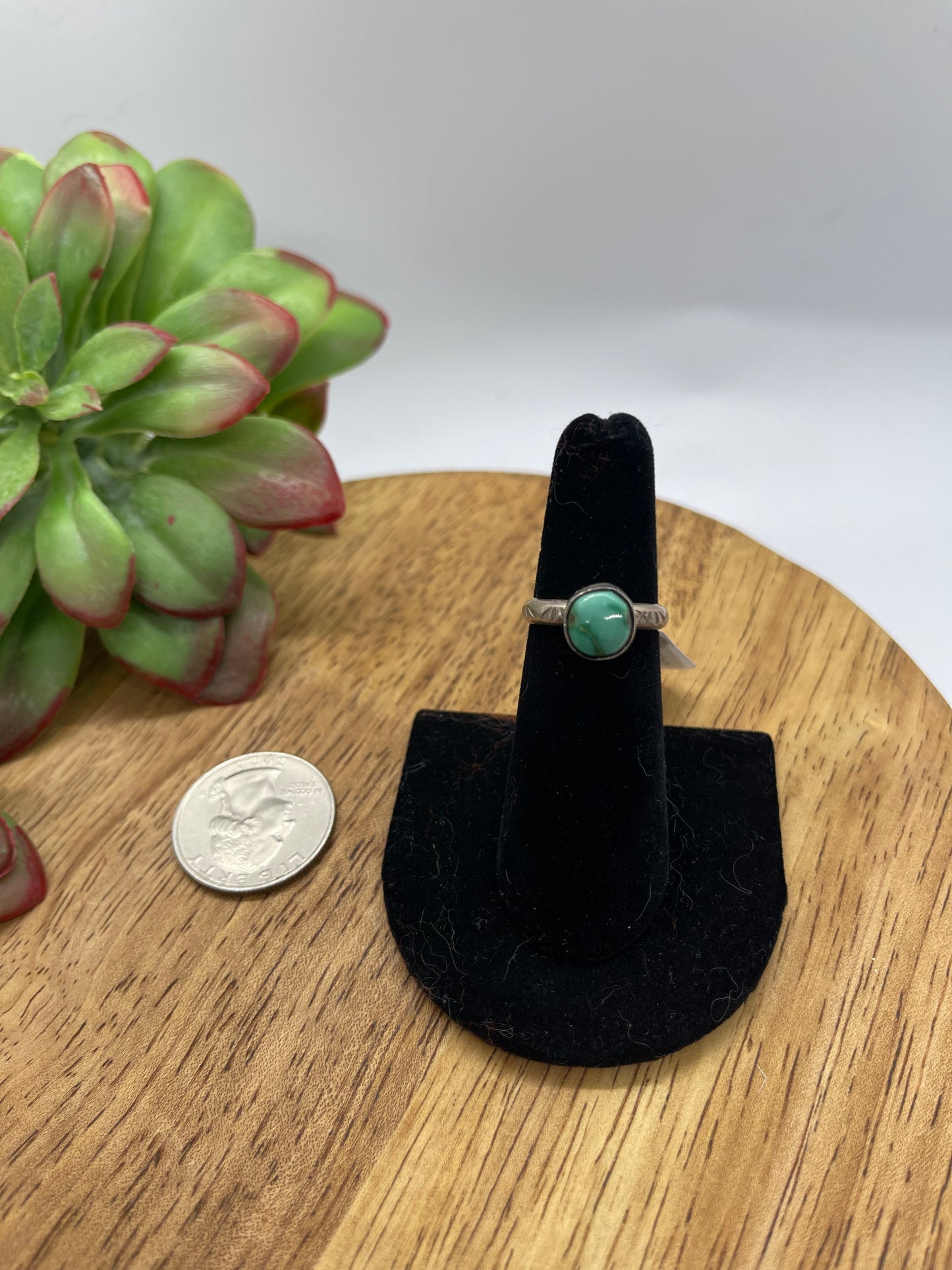 5.0 Sonoran Gold Turquoise Round Rings