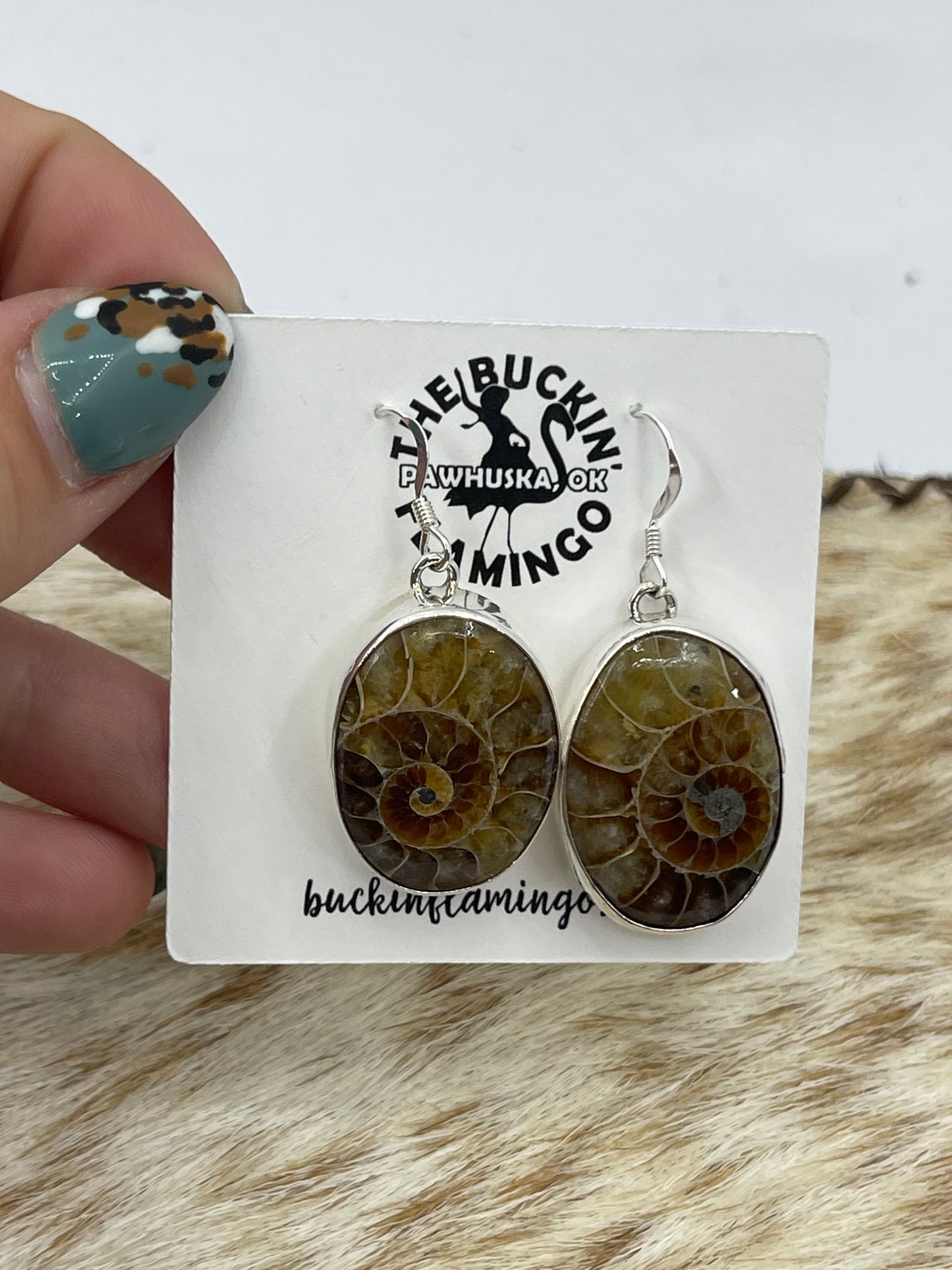 Oval Moroccan Ammonite Fossil Dangle Earrings by Dvane Smith, Navajo