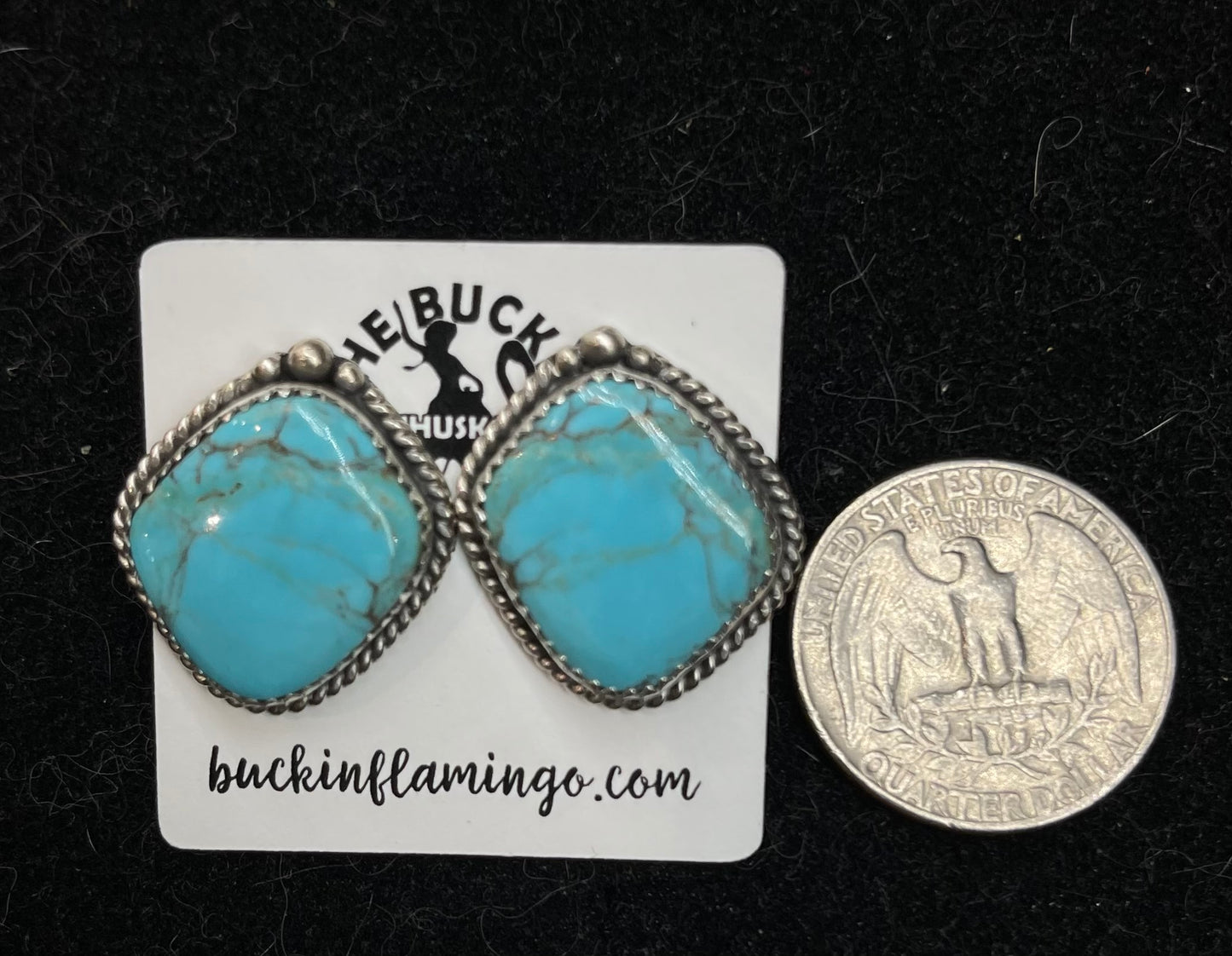 Kingman Turquoise Post Earring by Virginia Becent, Navajo