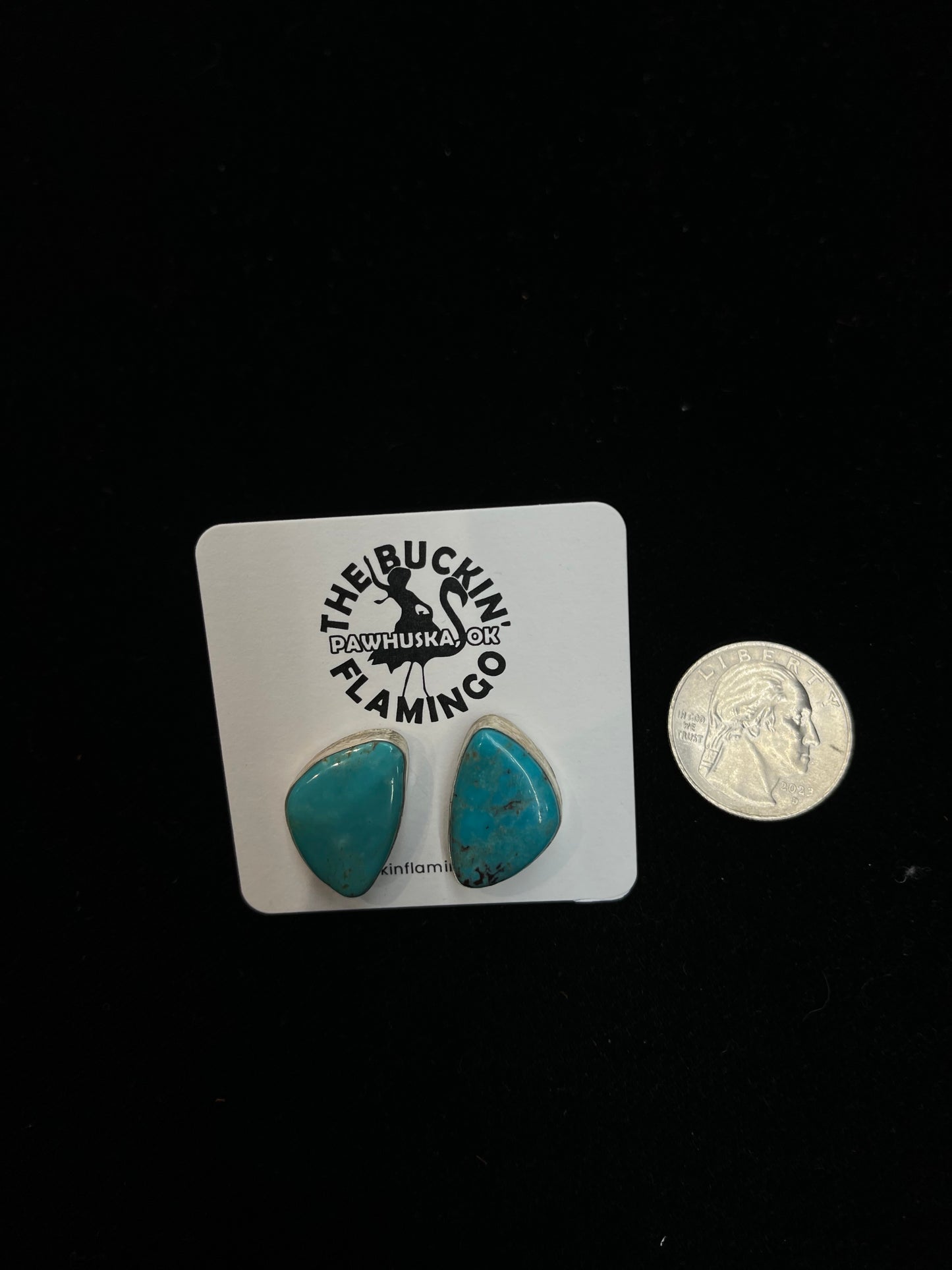 Redskin Turquoise Post Earrings by Clifton Davis, Navajo