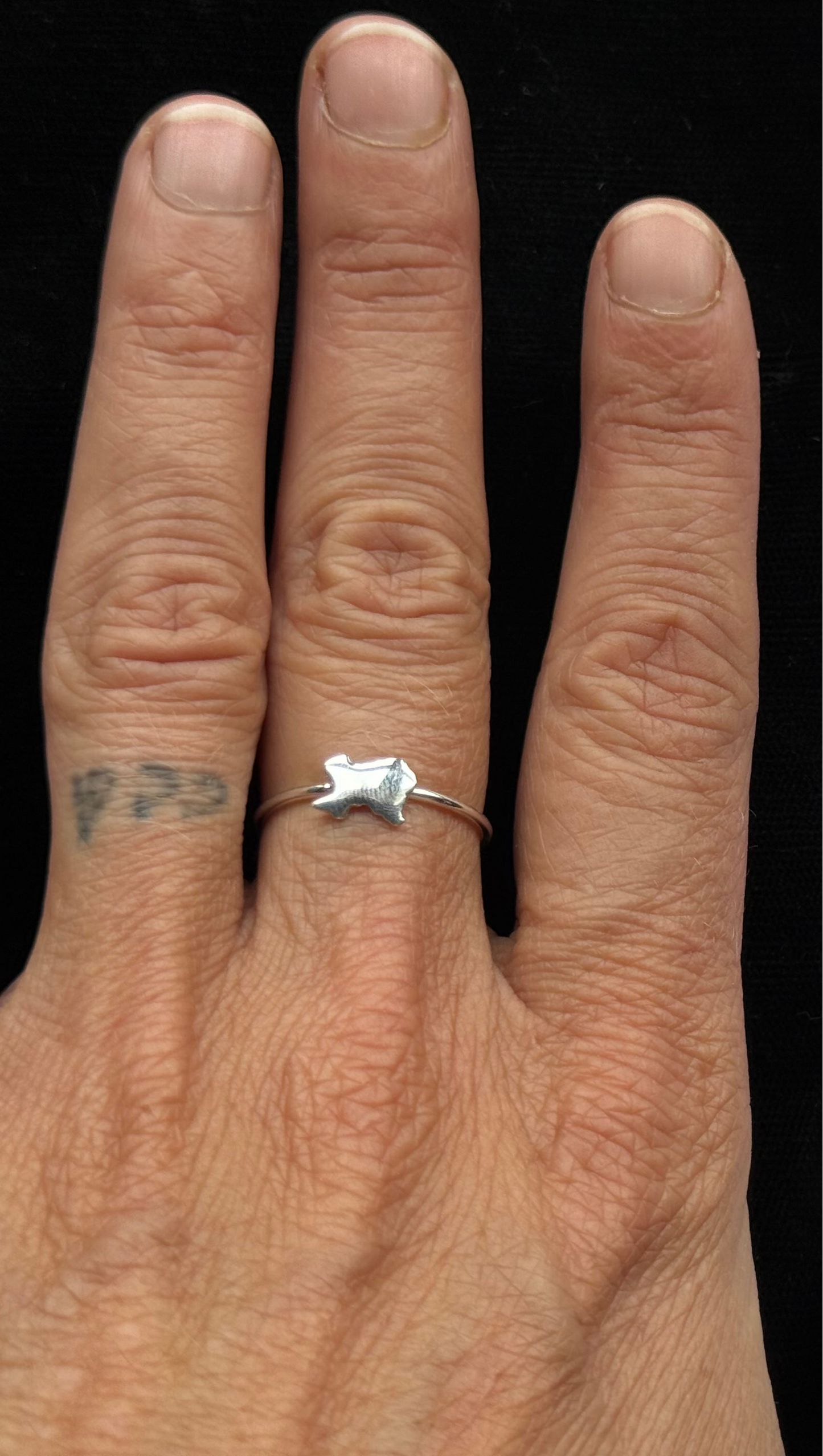 Sterling Silver State of Texas Ring