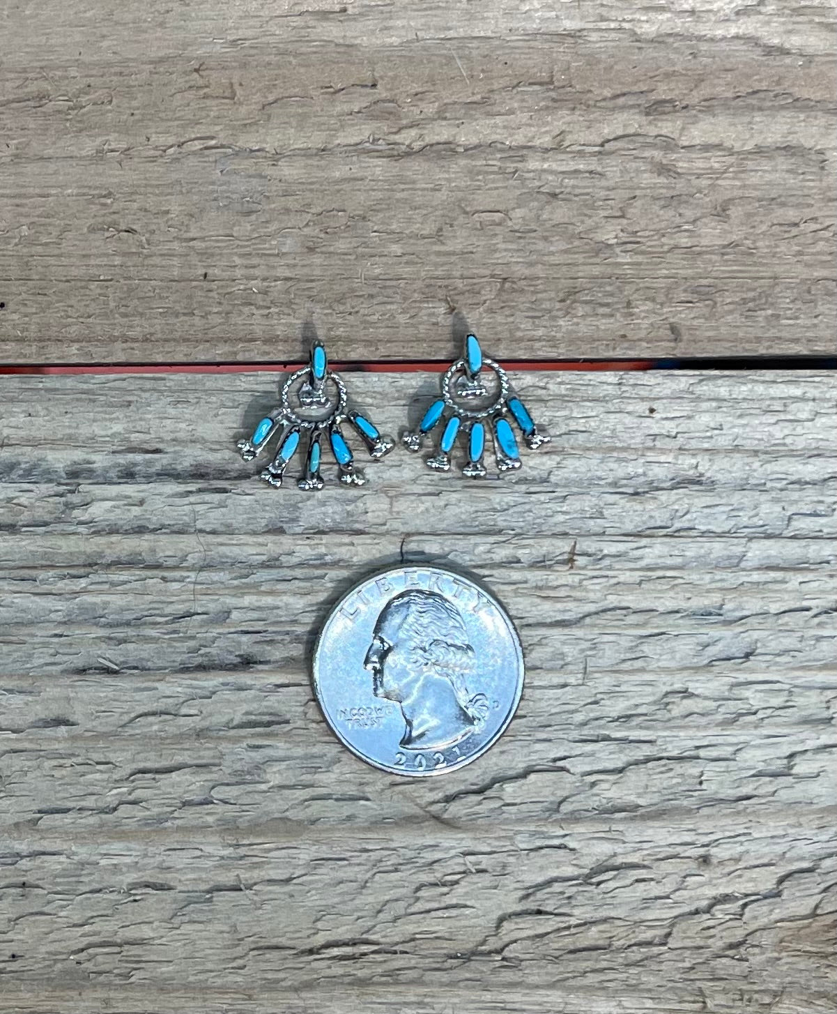 Sleeping Beauty Zuni Needlepoint Fringe Post Earrings