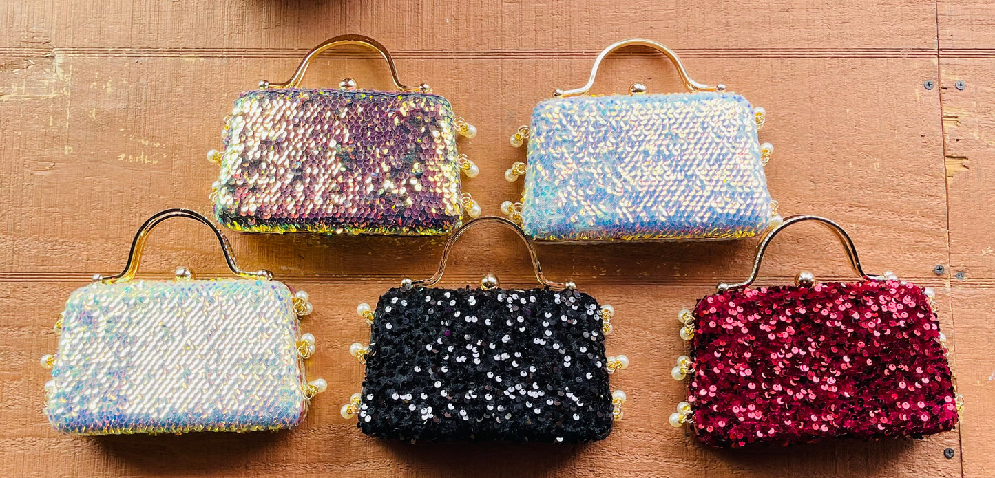 Sparkly Sequin Purse with Gold color Trim