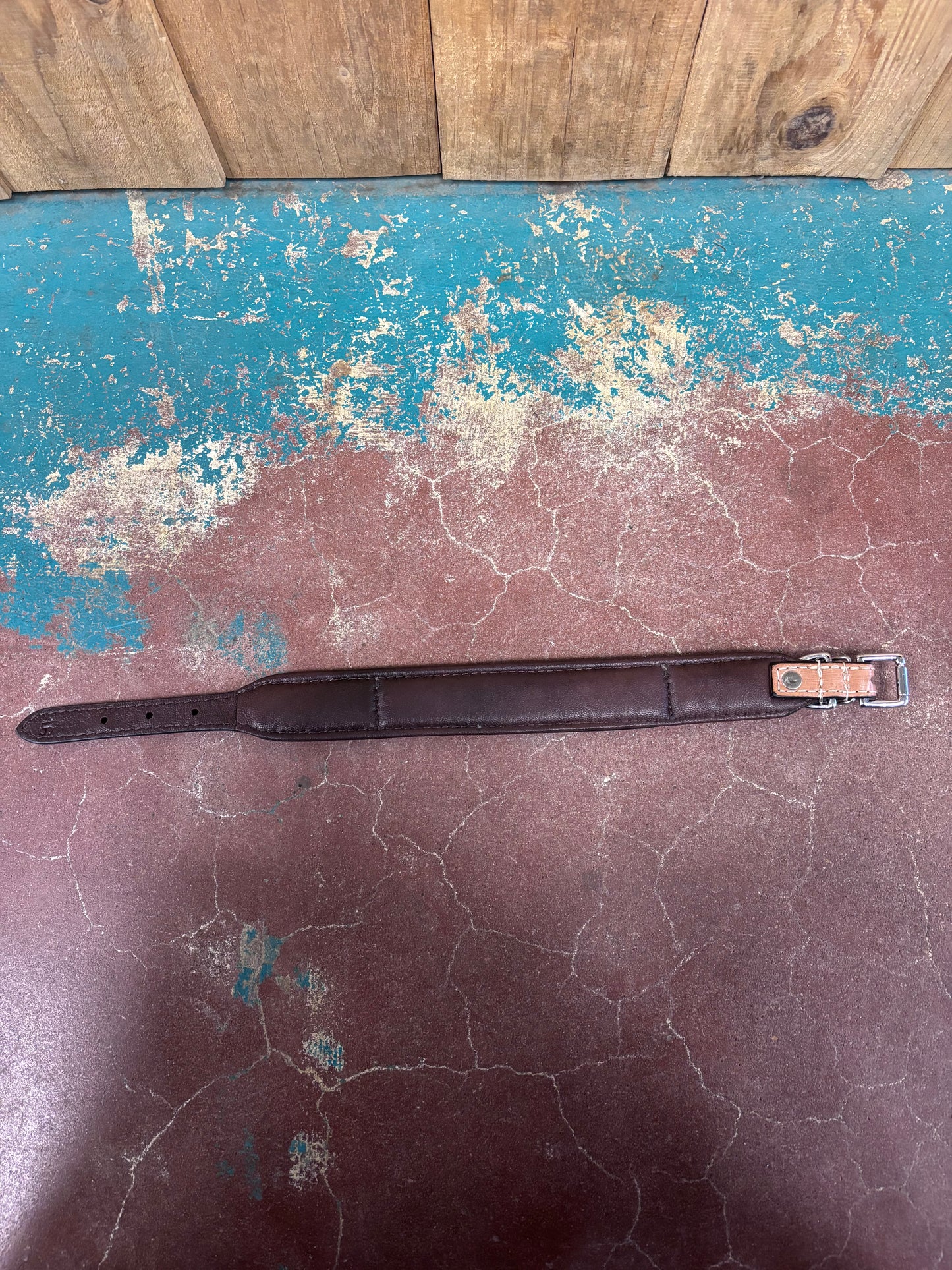 Medium Cowhide Leather Tooled Dog Collar