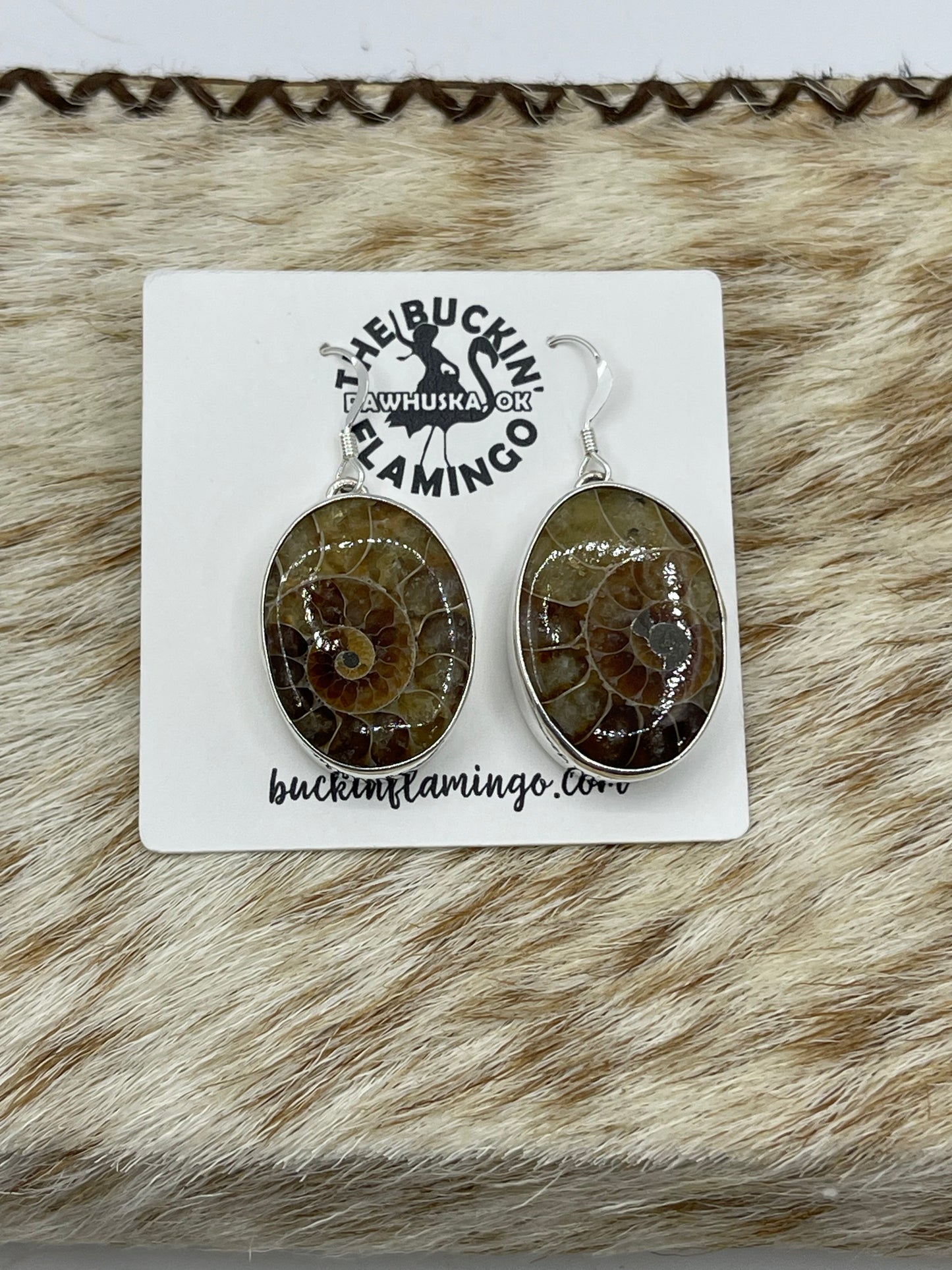 Oval Moroccan Ammonite Fossil Dangle Earrings by Dvane Smith, Navajo